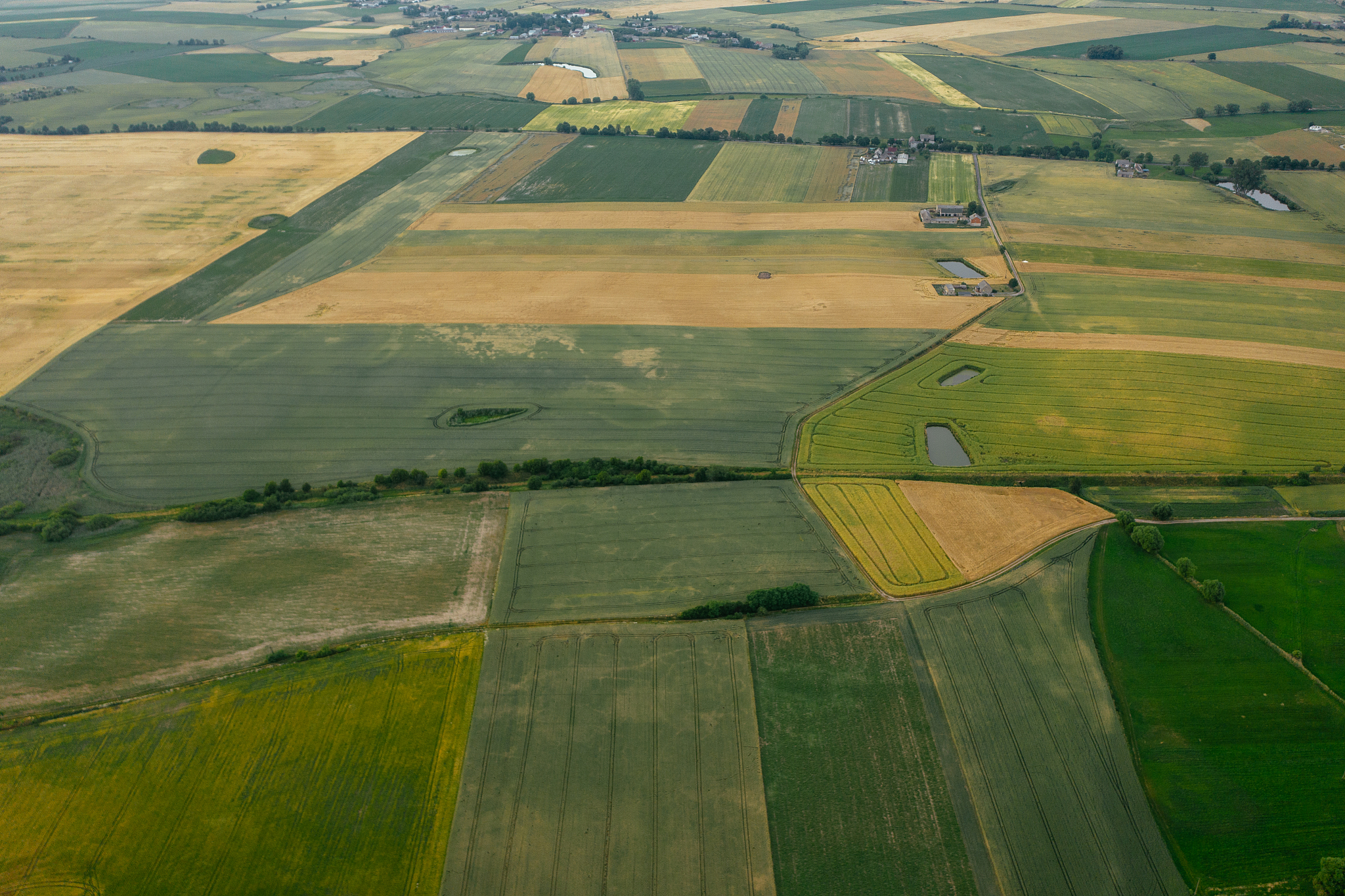 aerial photography of rural scenery.