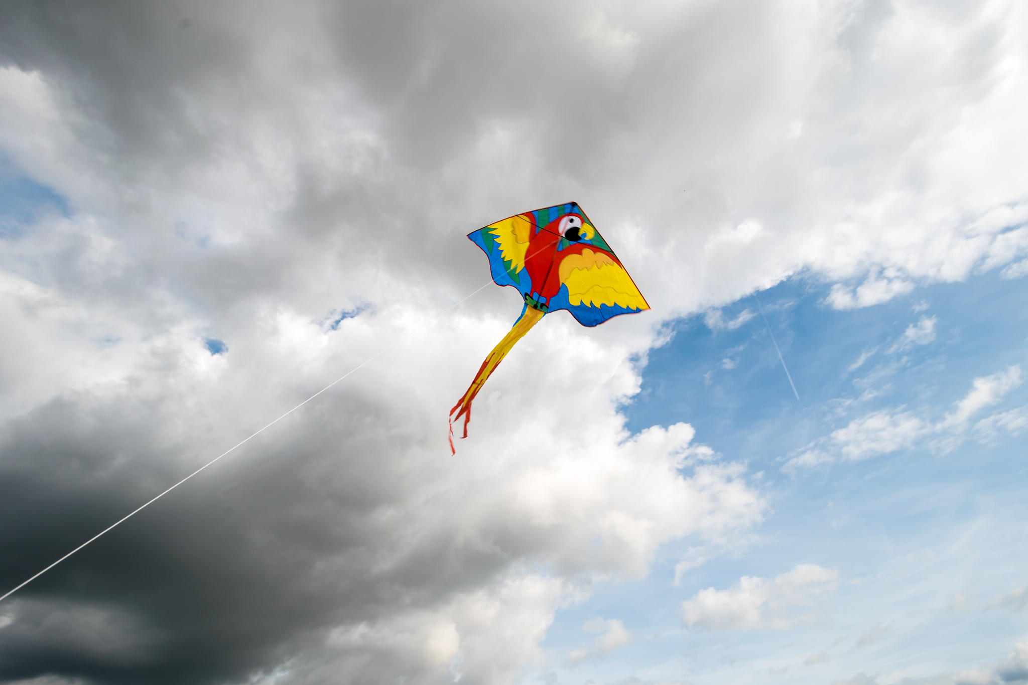 flying kite in the air. dark clouds on the background