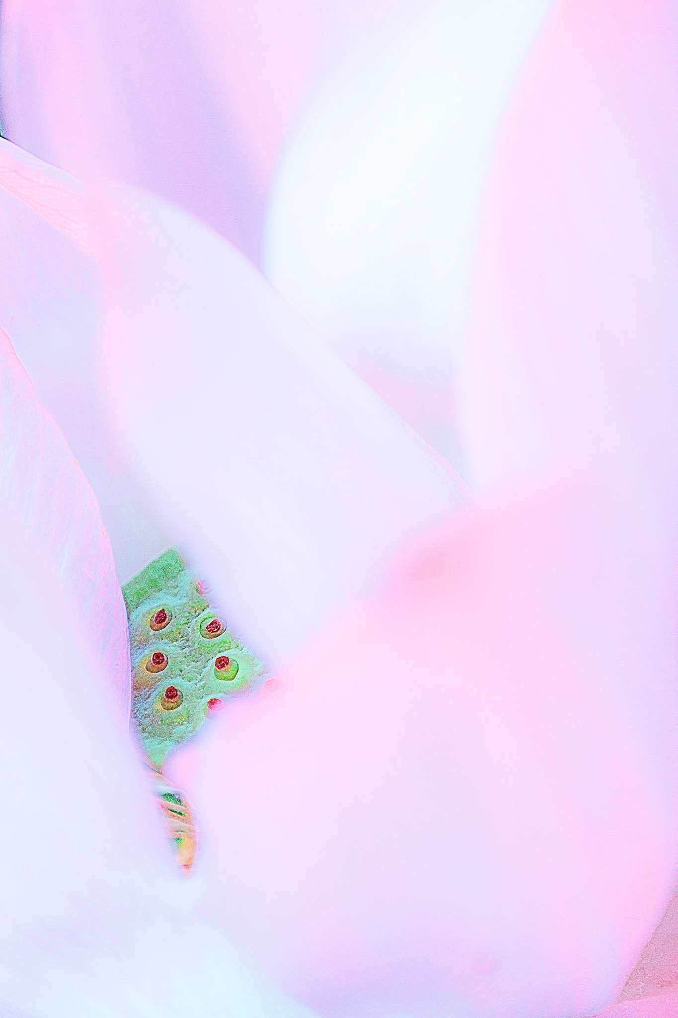 你好1主人公A因一次时空穿梭意外坠入一个时间节点凭借着前世的记忆在异世界开了一家拍卖行 2无意间从一次拍卖中获得一件宝物这件宝物没有任何攻击能力但是有着自主防御能力还能随着不断吞噬其他宝物进化并演变出各种技能 3由于A所在的国家被邻国入侵国家快要陷入沦陷时有人向皇帝推荐了A皇帝听后亲自去拜访经过一系列考察A认可皇帝的人品决定帮助皇帝危机解除后皇帝为感谢他给他三个封赏第一：敕封他为一字并肩王第二他可