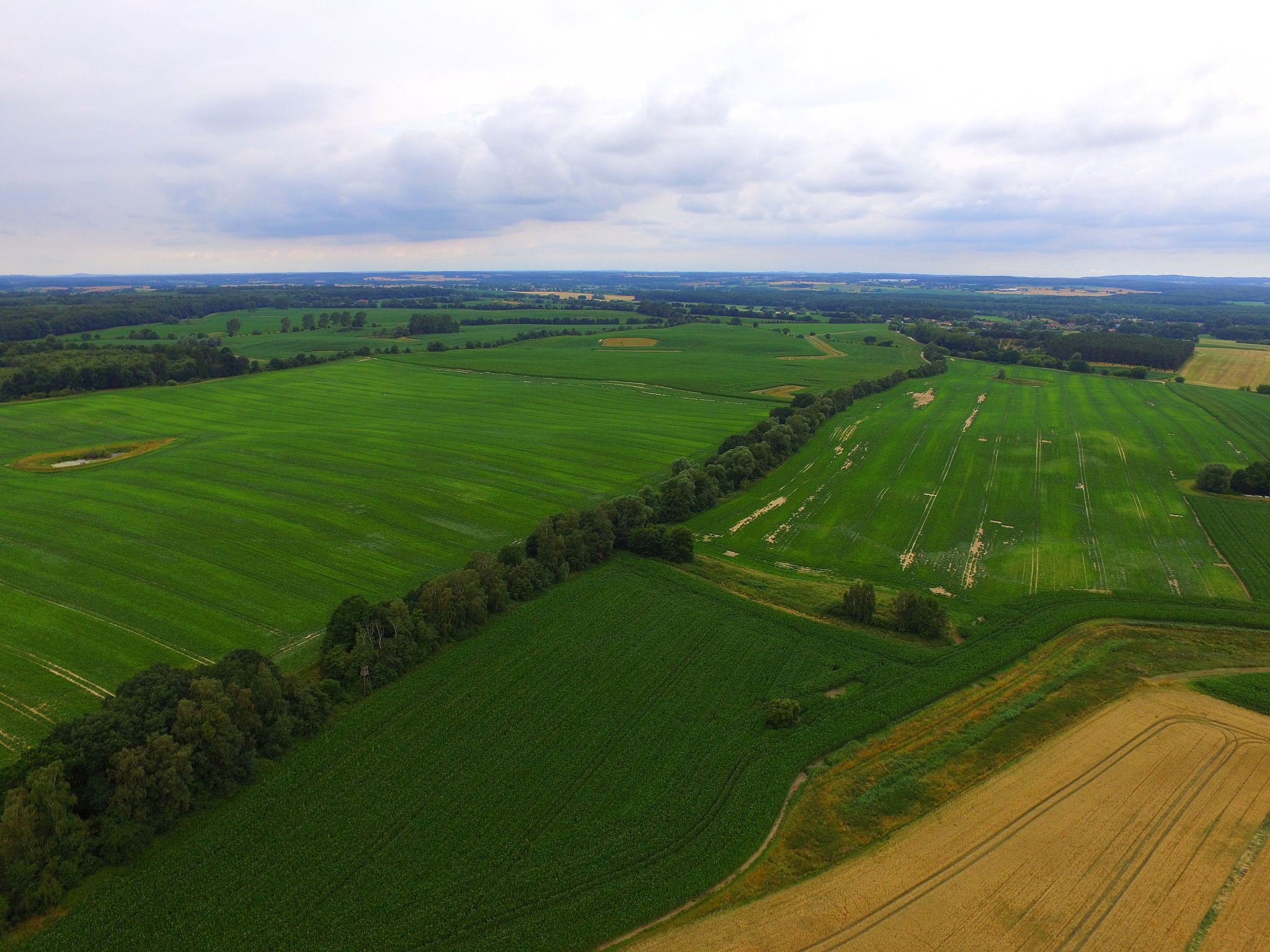 aerial view  of agricultural fields  in germany