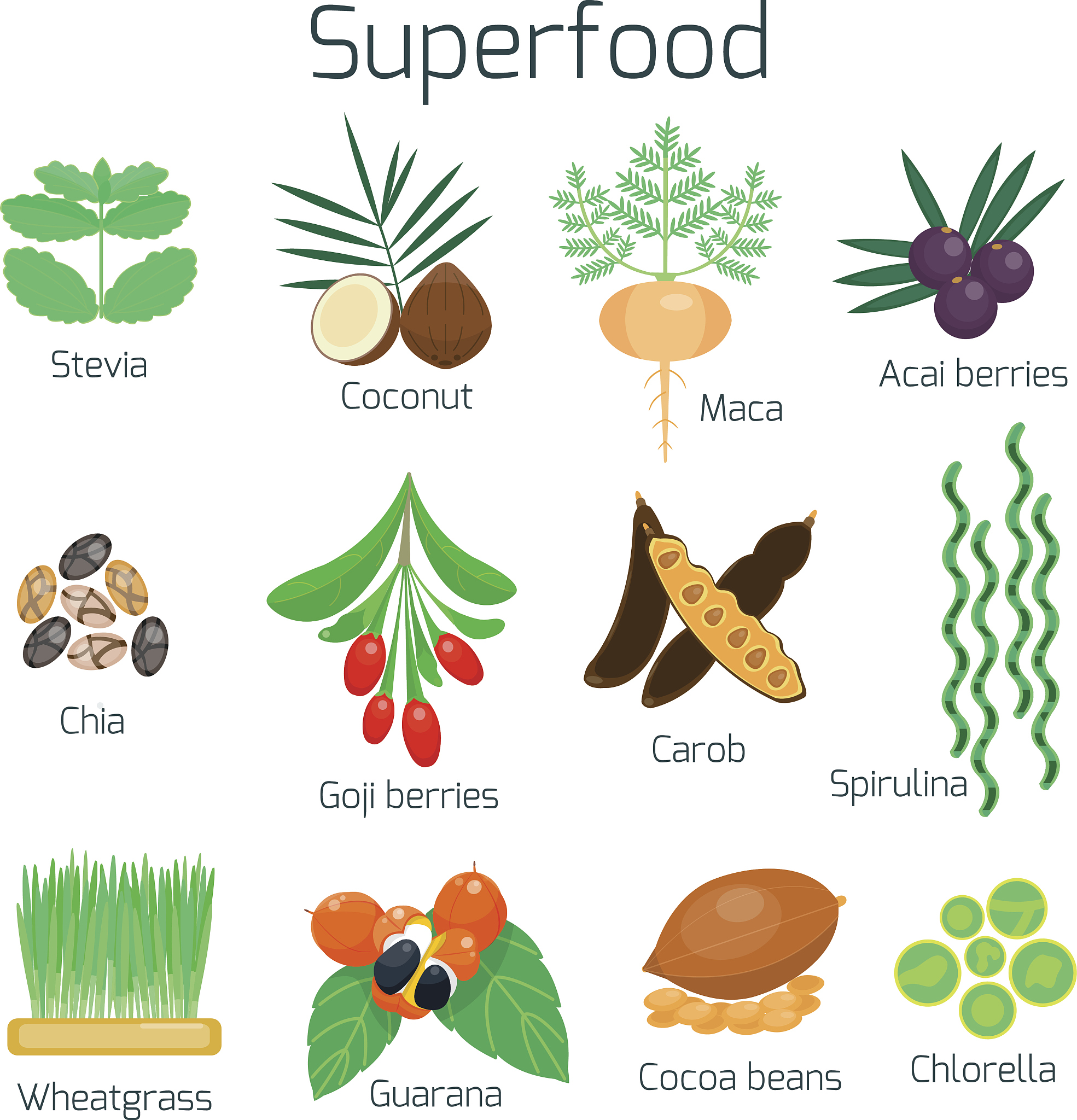 The Crucial Role of Wheat (Triticum aestivum L.) in Global Food Security