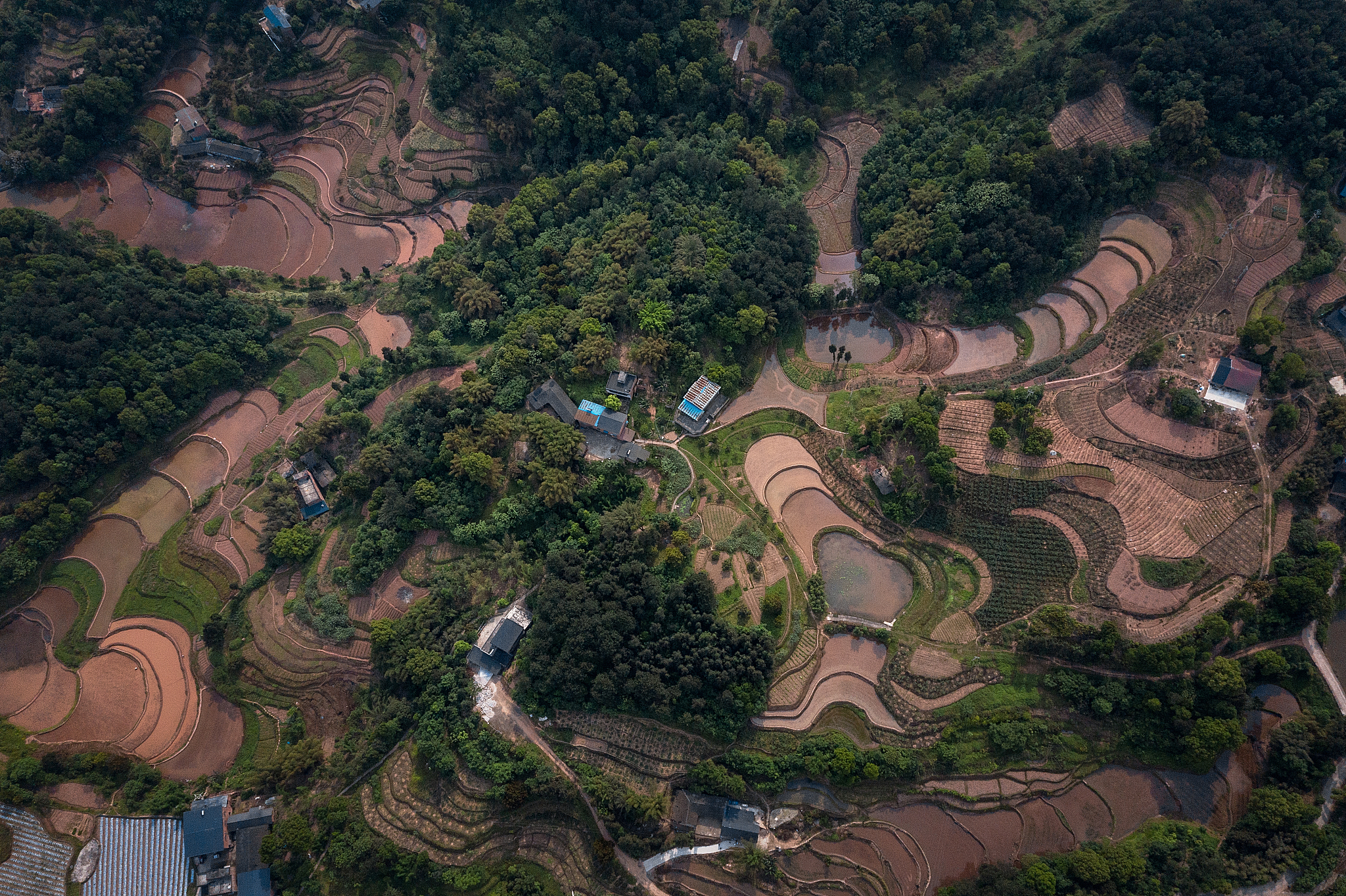 如何知道有建档立卡