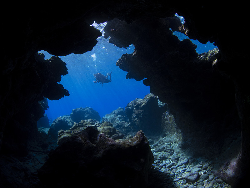 marine life around green island, taiwan
