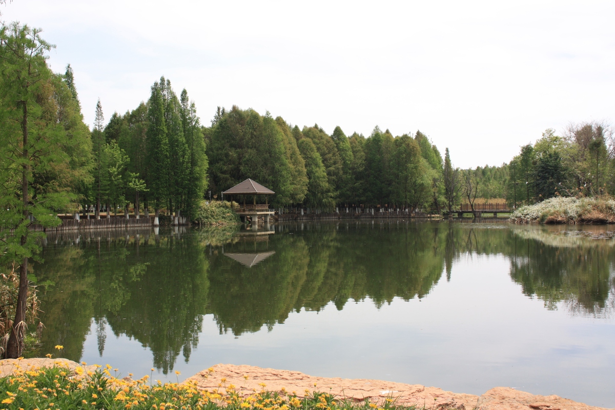 阜阳颍州区桃花村旅游攻略：自然风光、文化古村落、生态环境