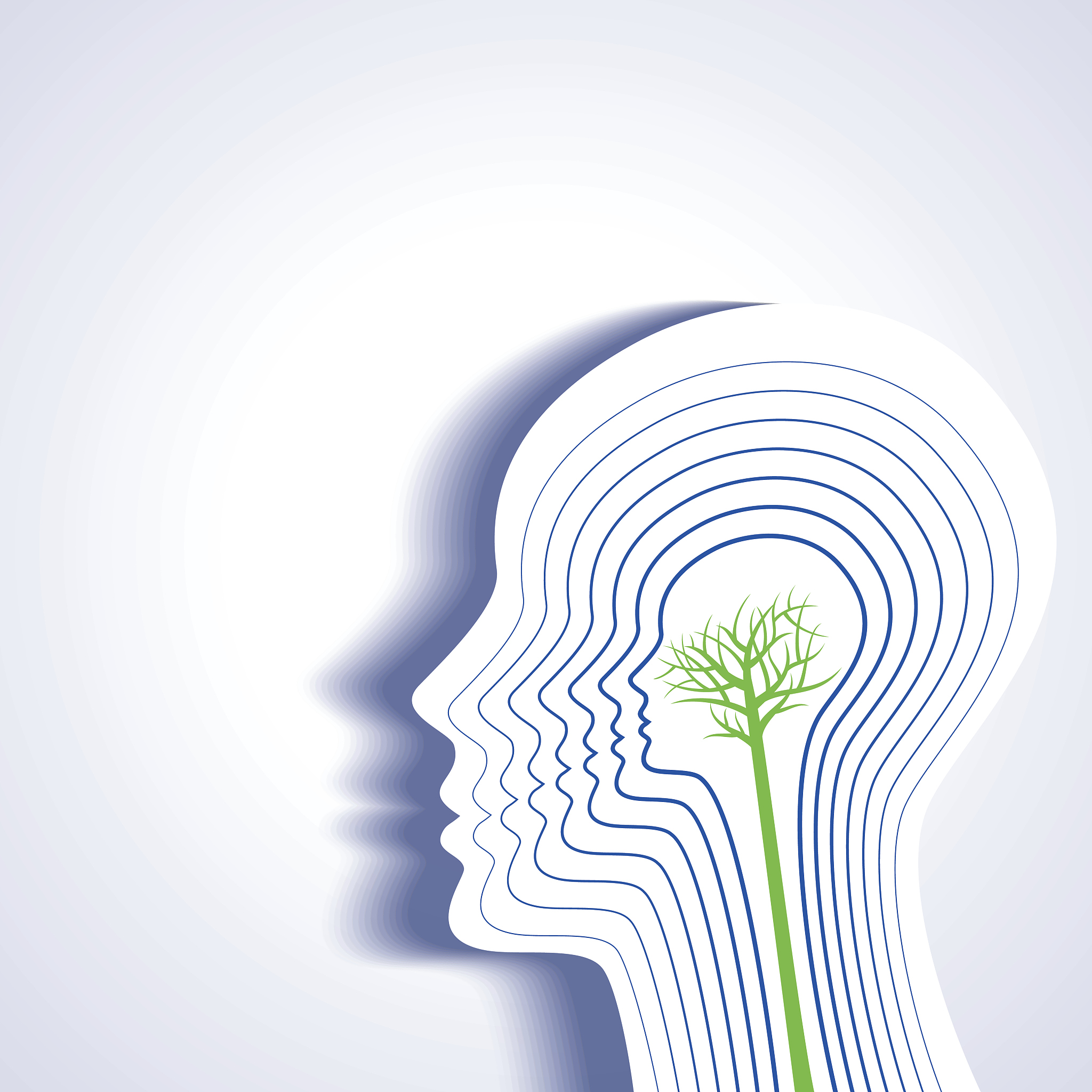 植物物候响应策略与最优生存理论有什么关系