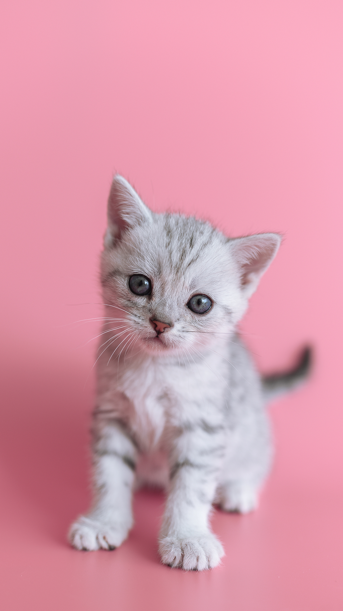 如何取消电脑和手机的锁屏？