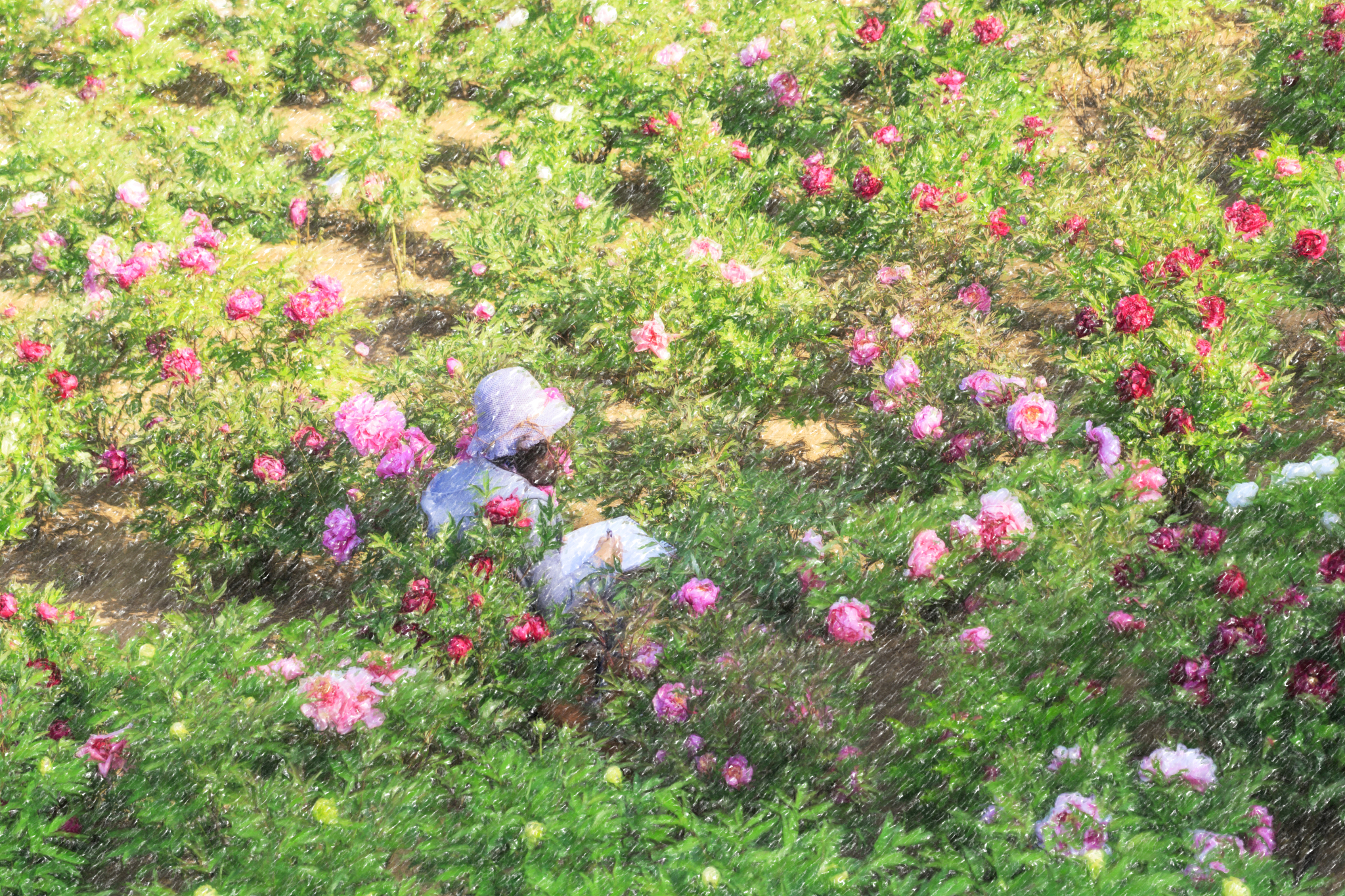 the woman painter in the garden