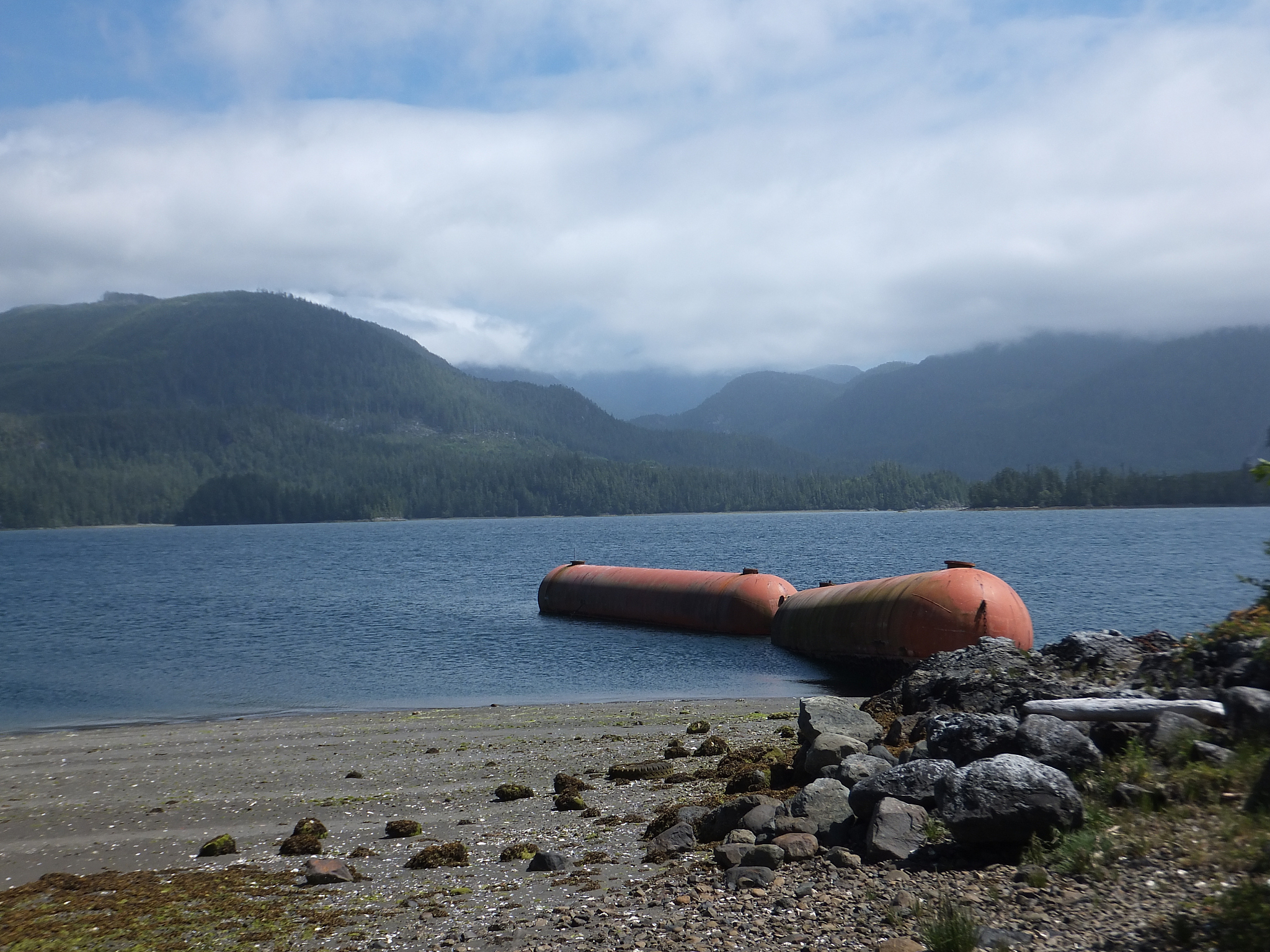 宫颈癌治疗特效药物有哪些？