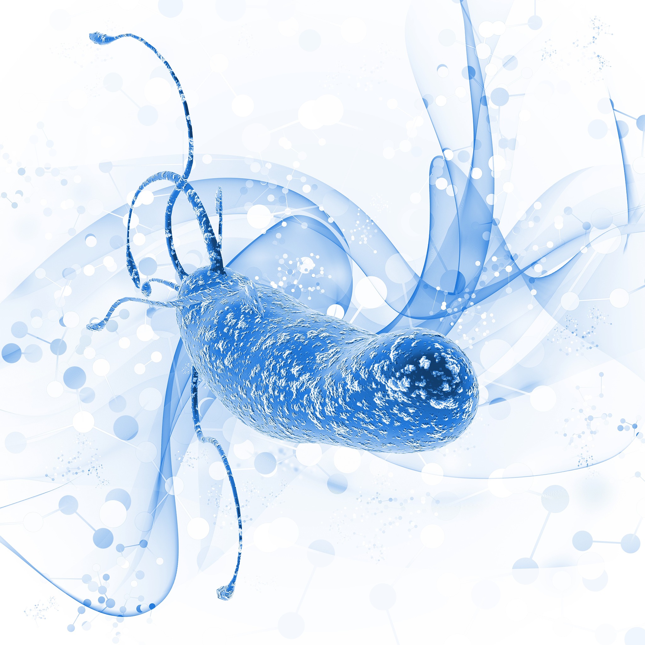 幽门螺杆菌感染怎么办？标准处理流程全解析！