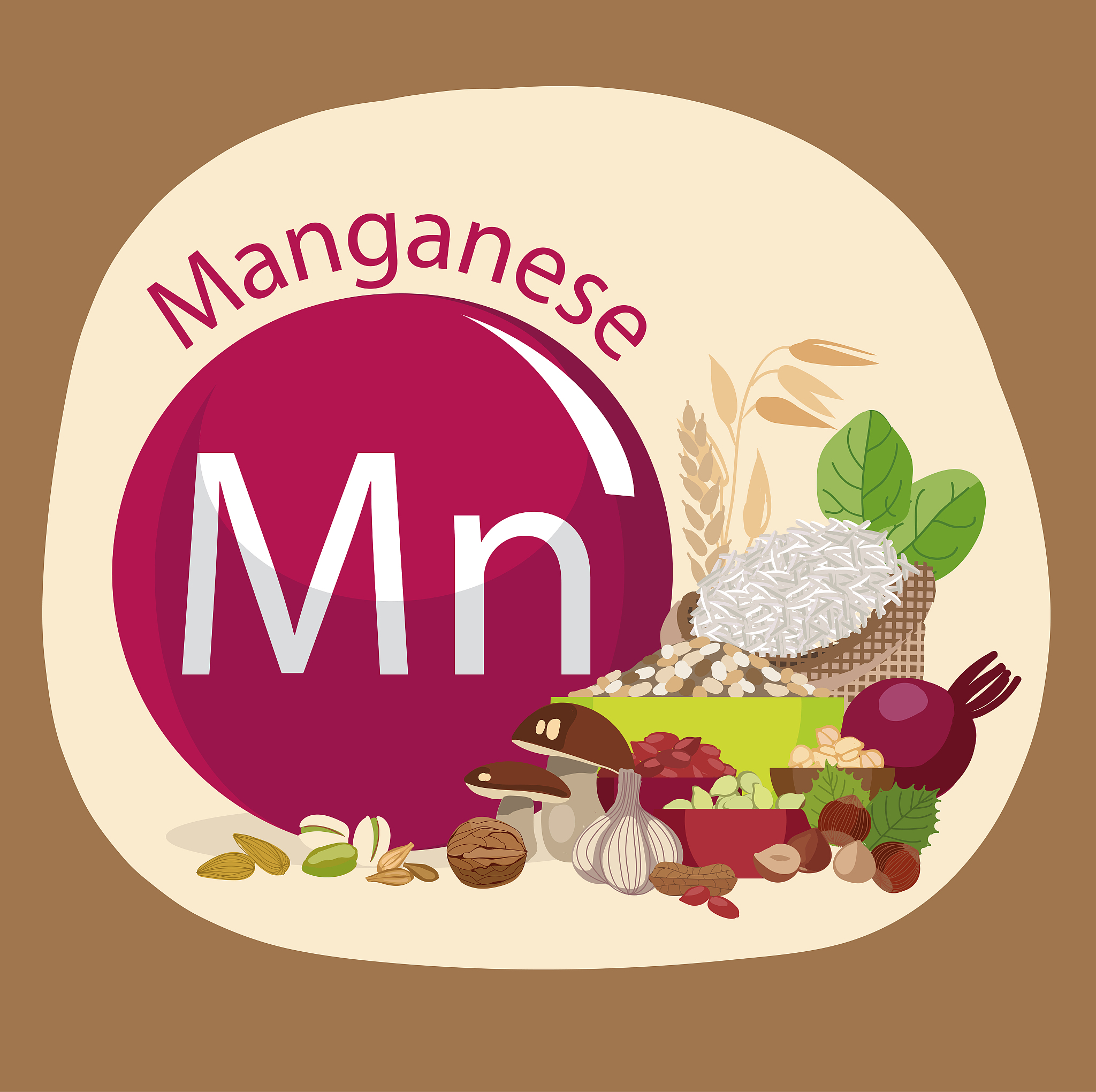 四川省食品药品学校2020单招专业计划 - 食品安全人才培养基地