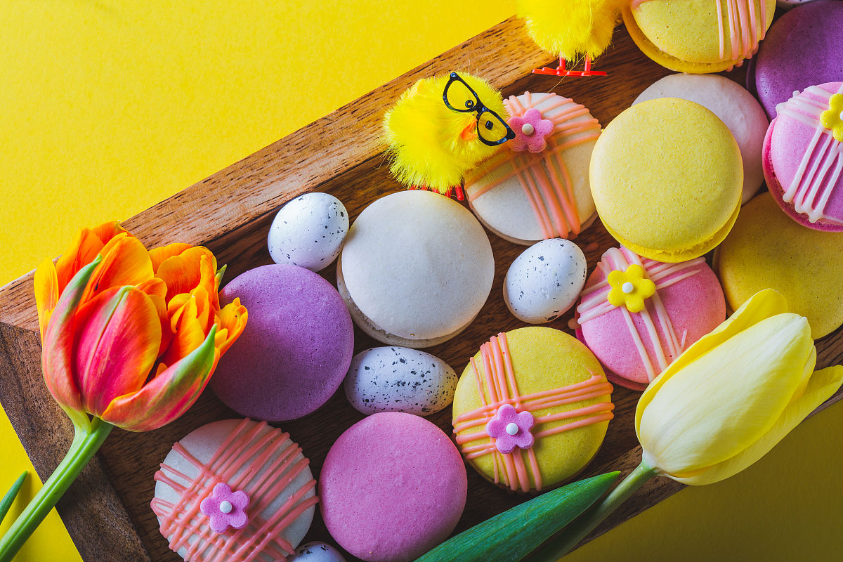 贵阳计算机学校动漫设计专业课程：内容详解