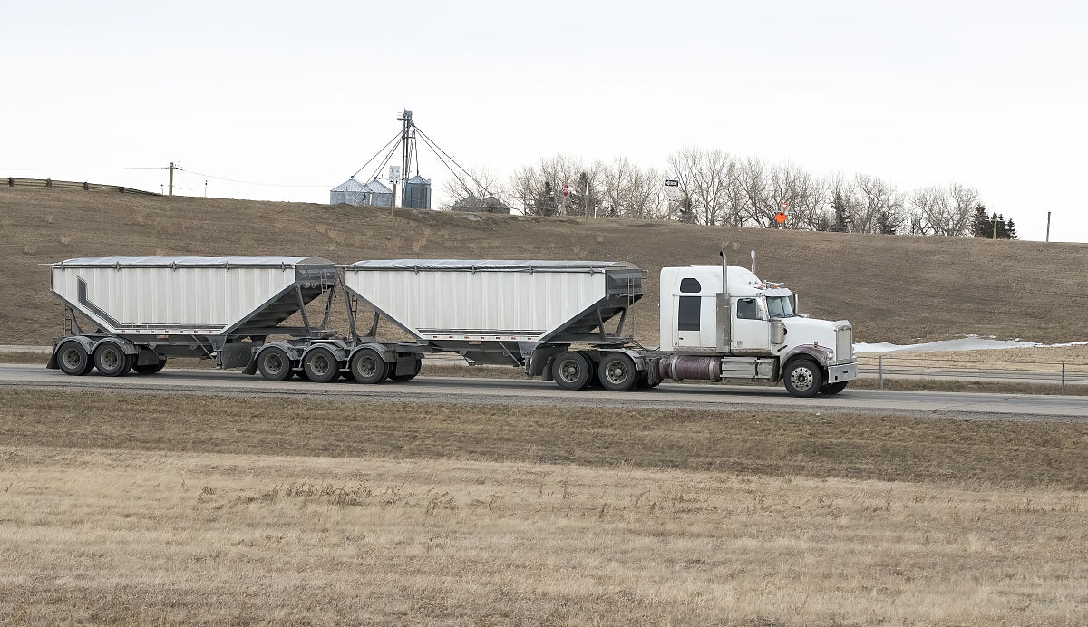 简述这篇论文基于改进被囊群算法的露天矿无人驾驶卡车运输调度_李在友