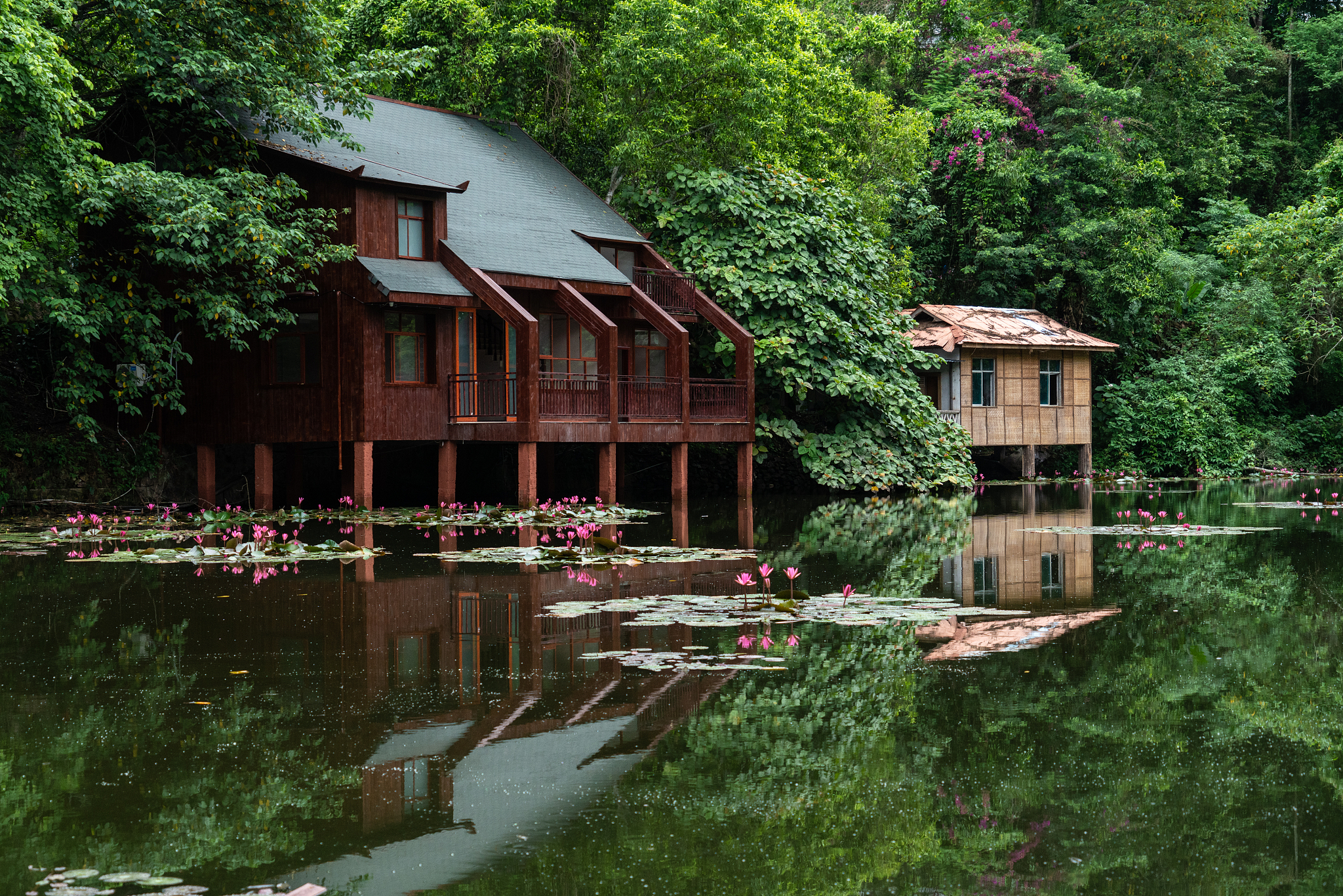 云南普洱旅游攻略：景点推荐、发展前景及特色