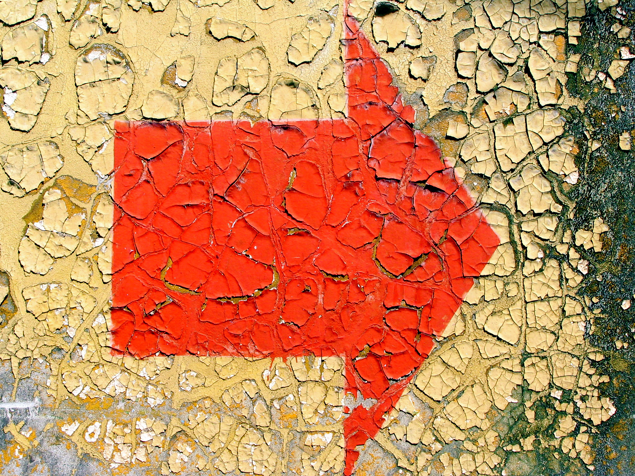 世界上现存的苏维埃国家 - 探索历史与现实