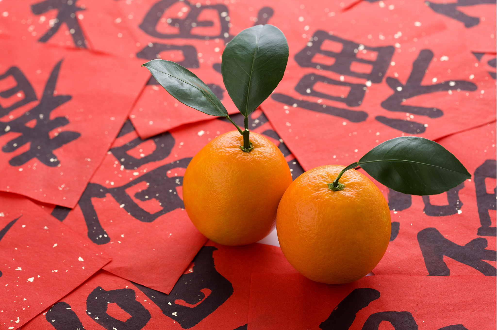 春见粑粑柑写100字左右的评价