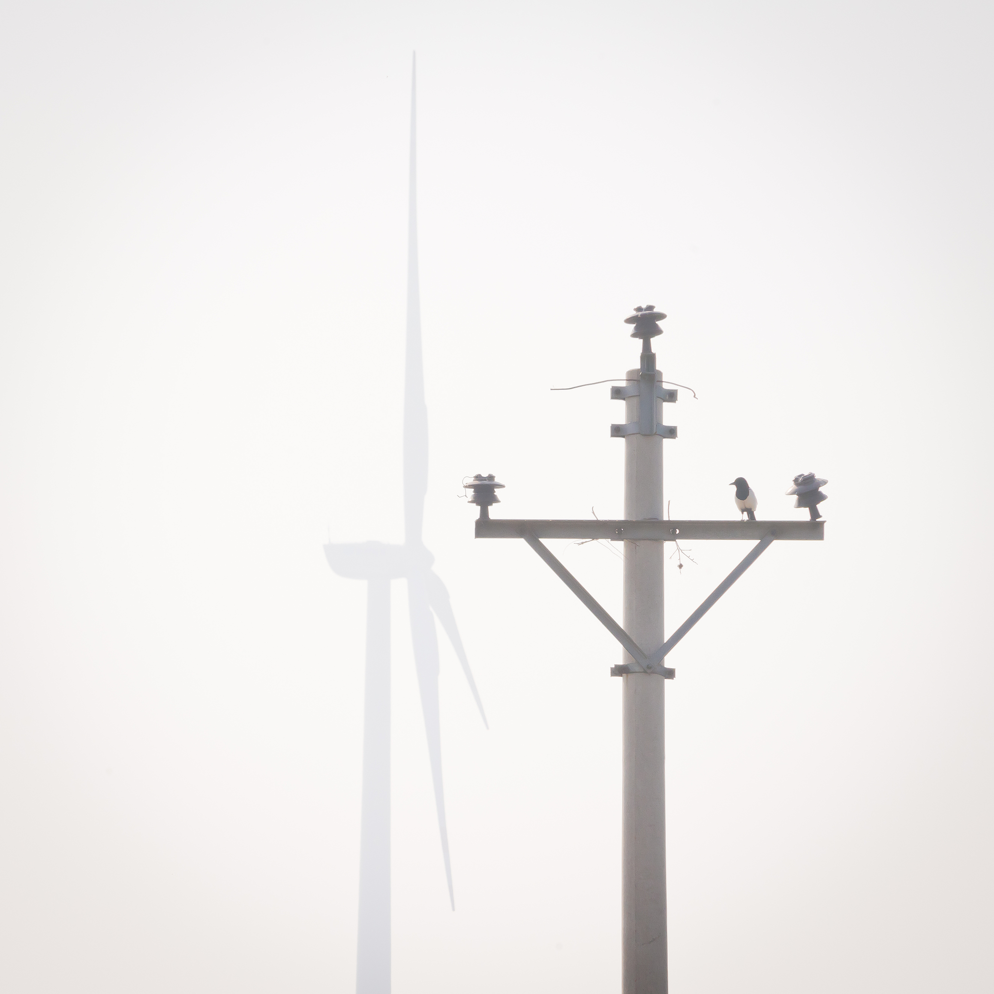 山西电力职业技术学院电力营销专业优势及前景分析