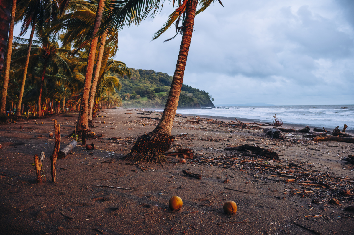 Things to Do in Brazil: Beaches, Amazon, Culture & More