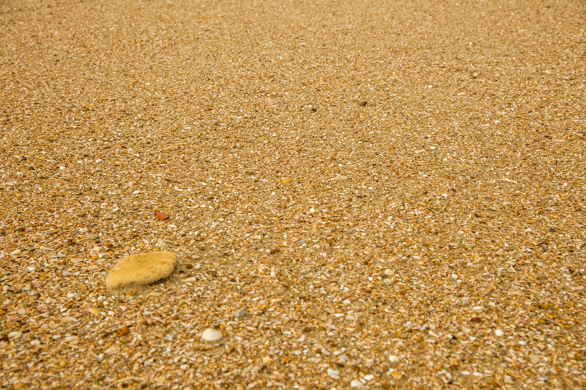 广西城市建设学校2023年招生简章