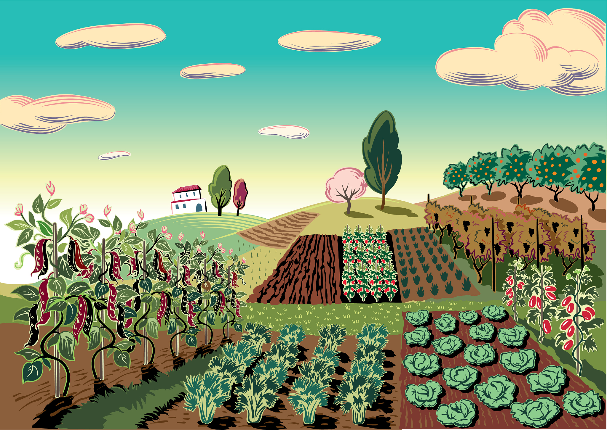 Agriculture: Definition, Importance, Practices & Challenges