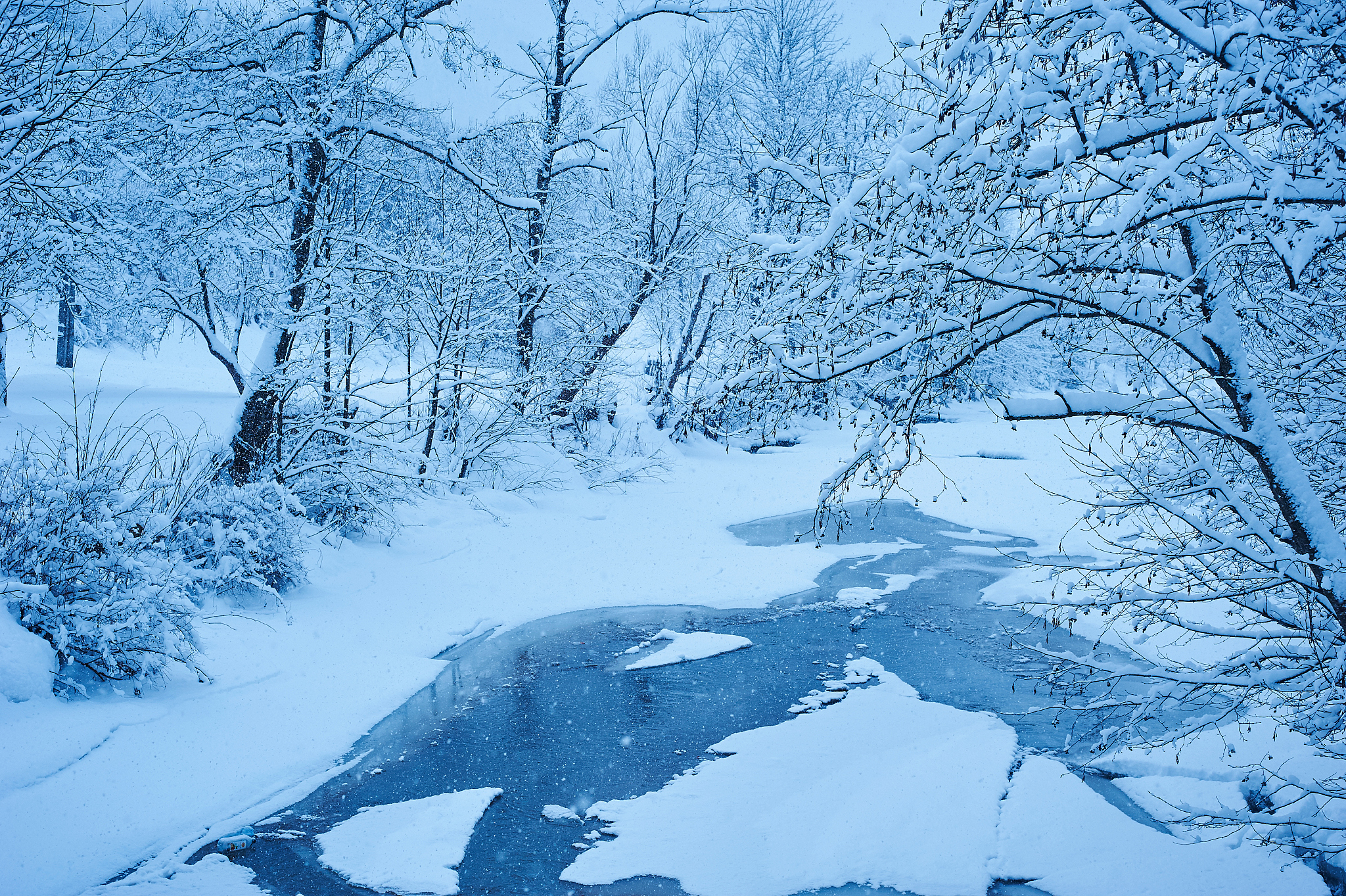 银装素裹：人工智能描绘冬日胜景