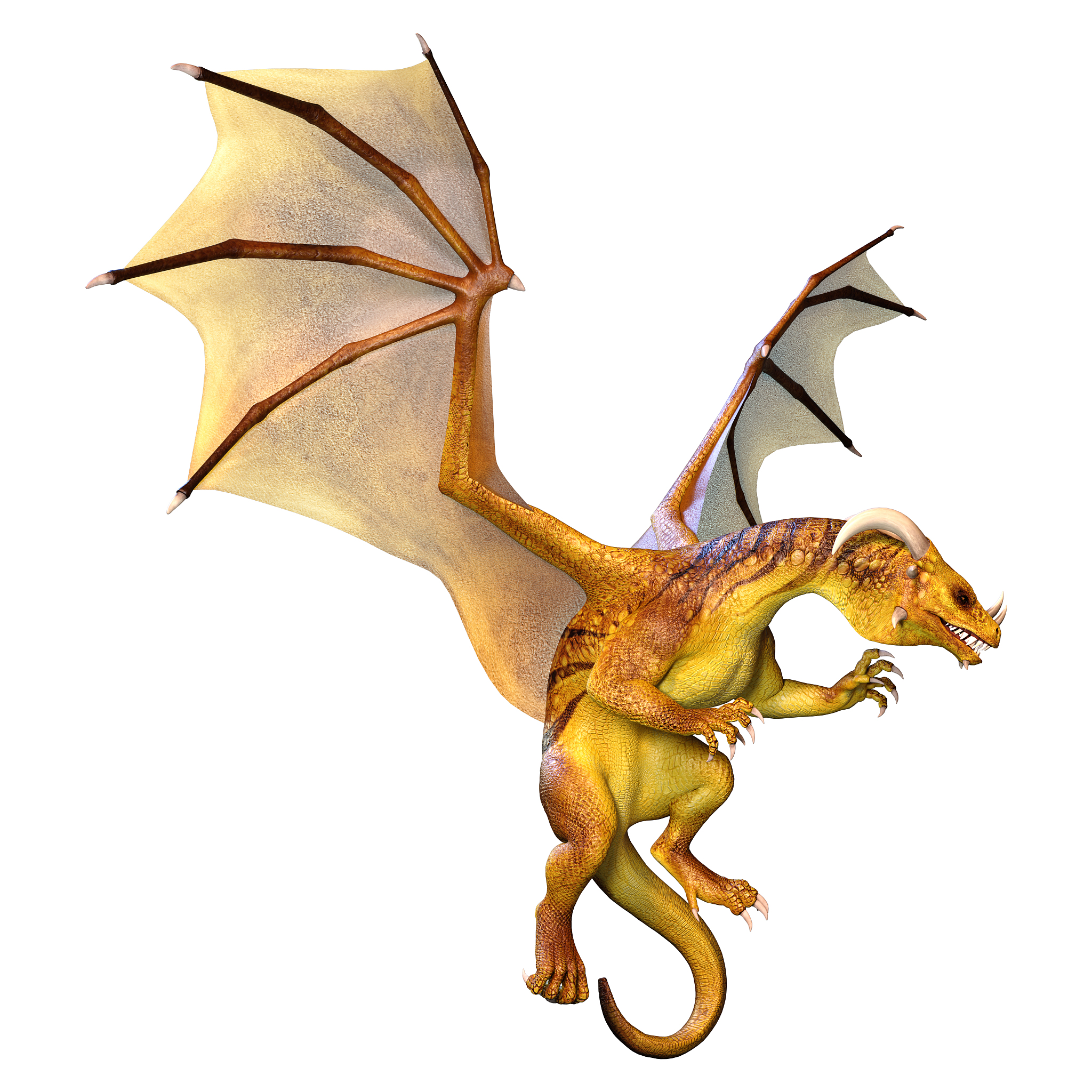 3d illustration fantasy dragon on white