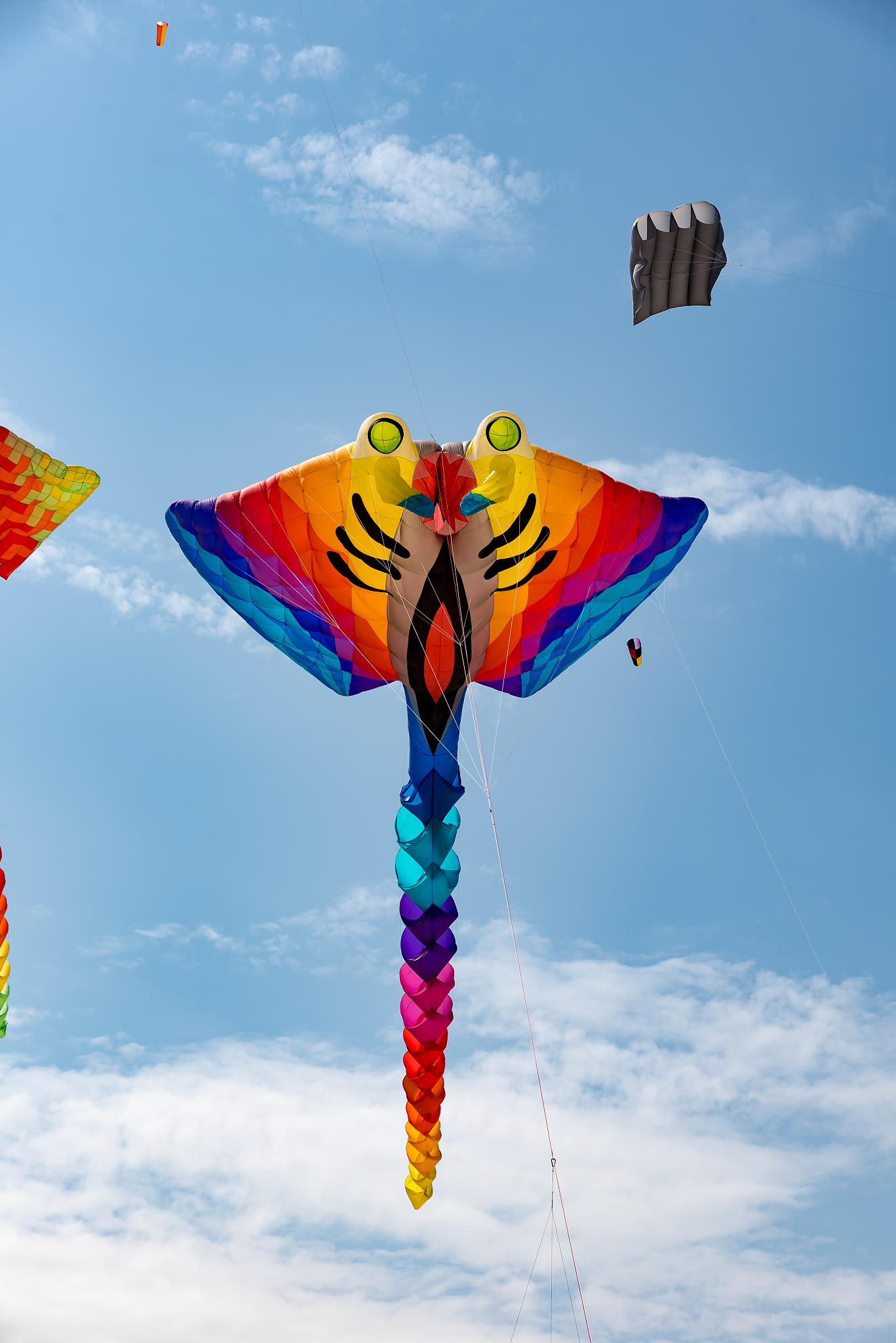 kites with blue sky and white clouds