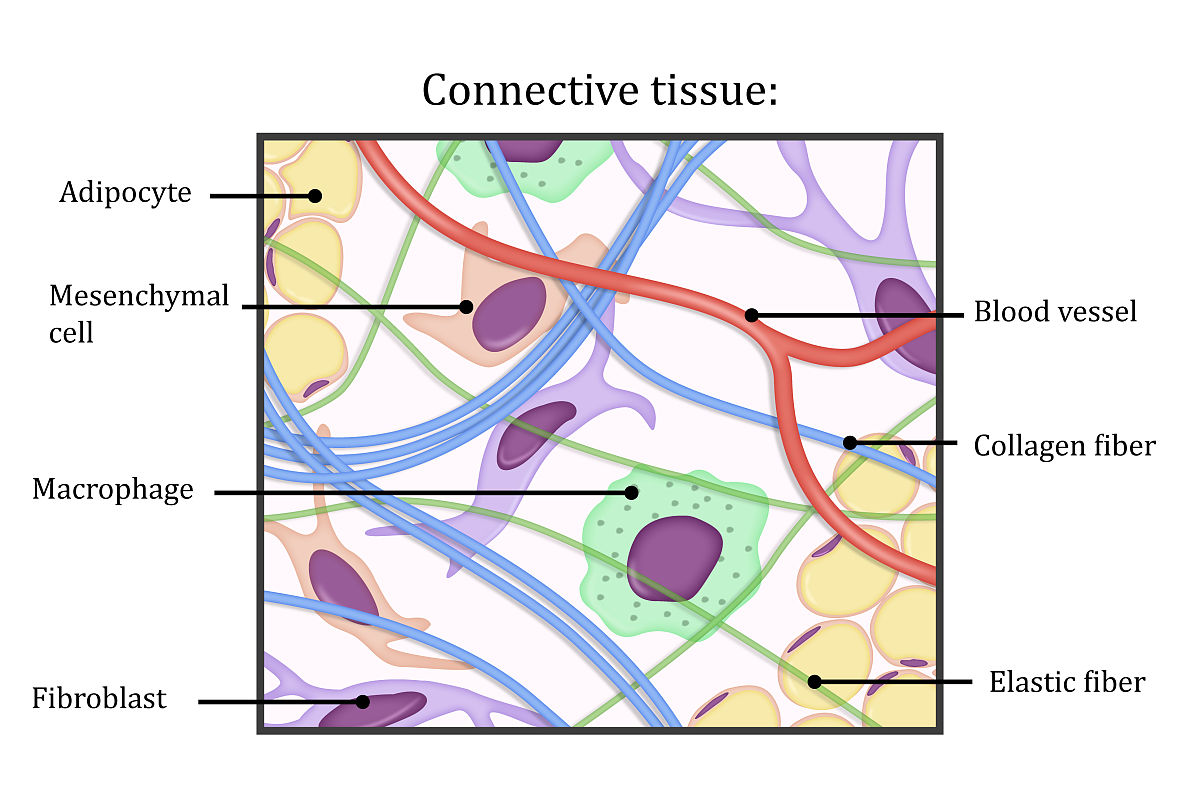 Nash Equilibrium in a Duopoly with Quality Differentiation Nash Equilibrium in a Duopoly with Quality Differentiation