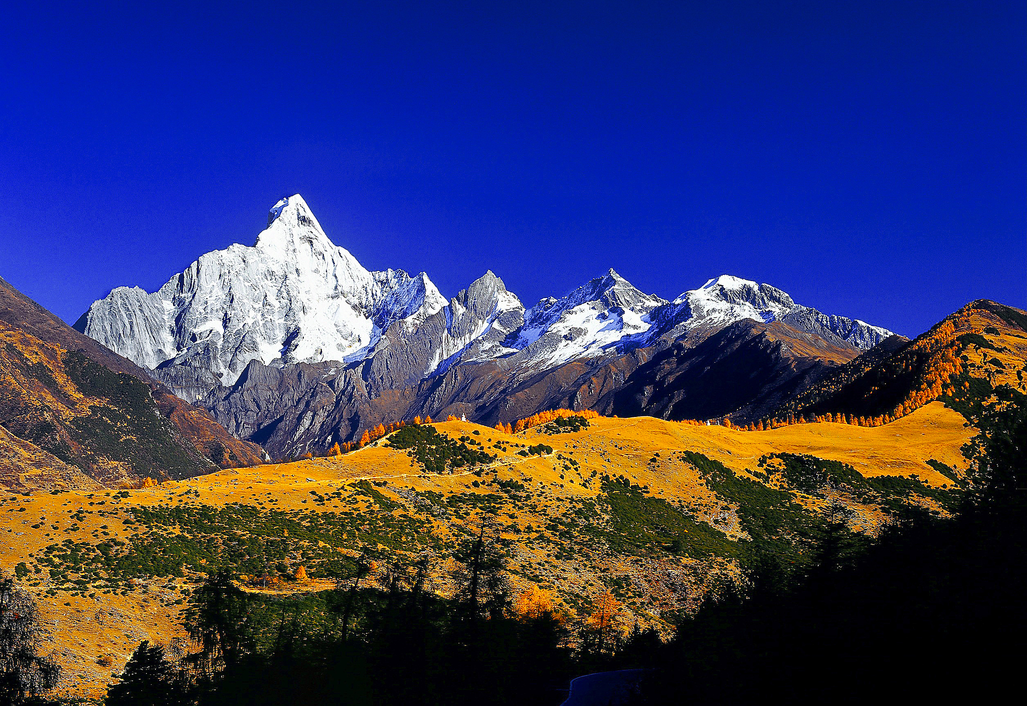 2019年四川旅游学院报名条件：最新入学要求解析