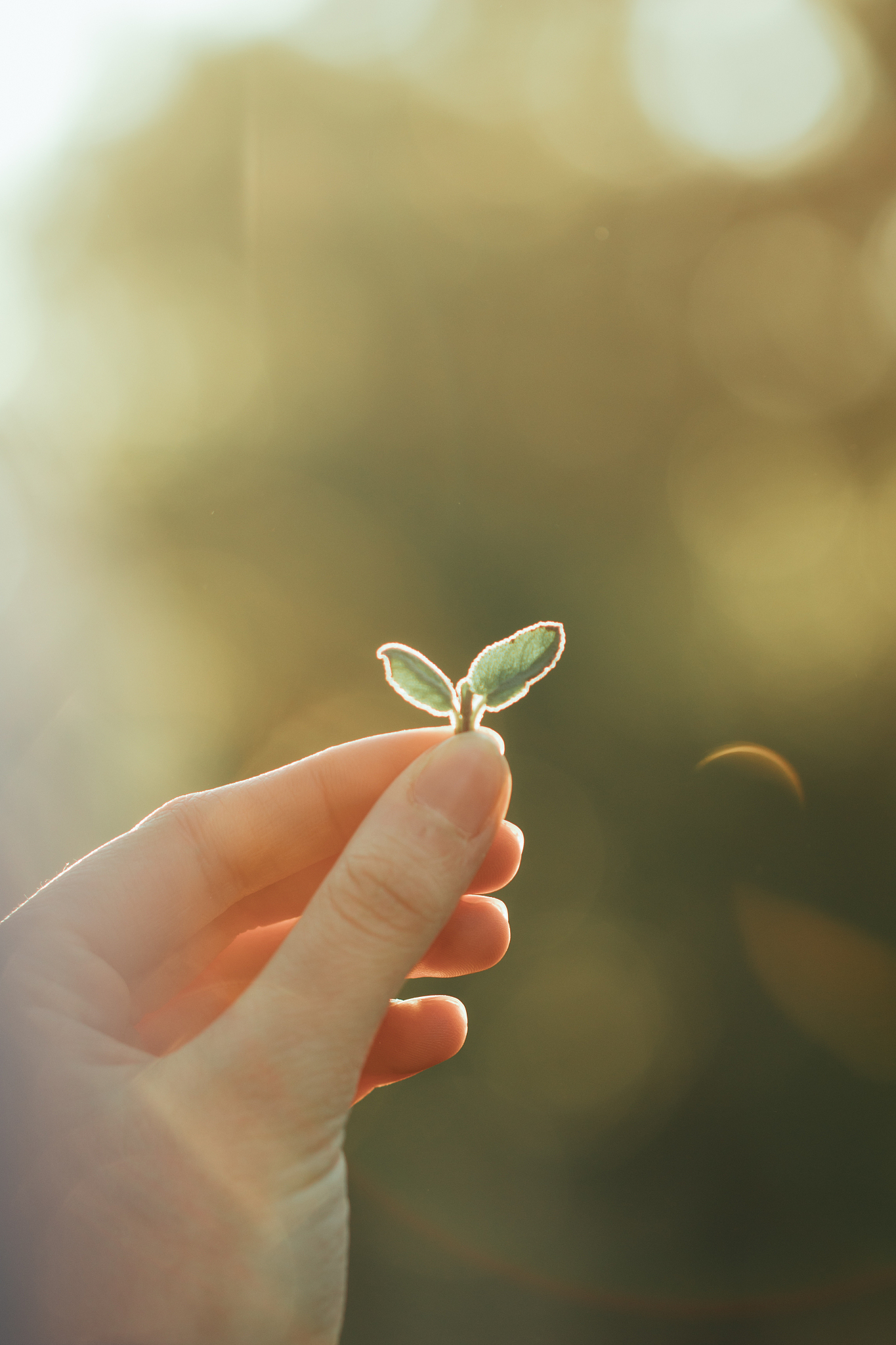 关于热爱生命的800字话题作文