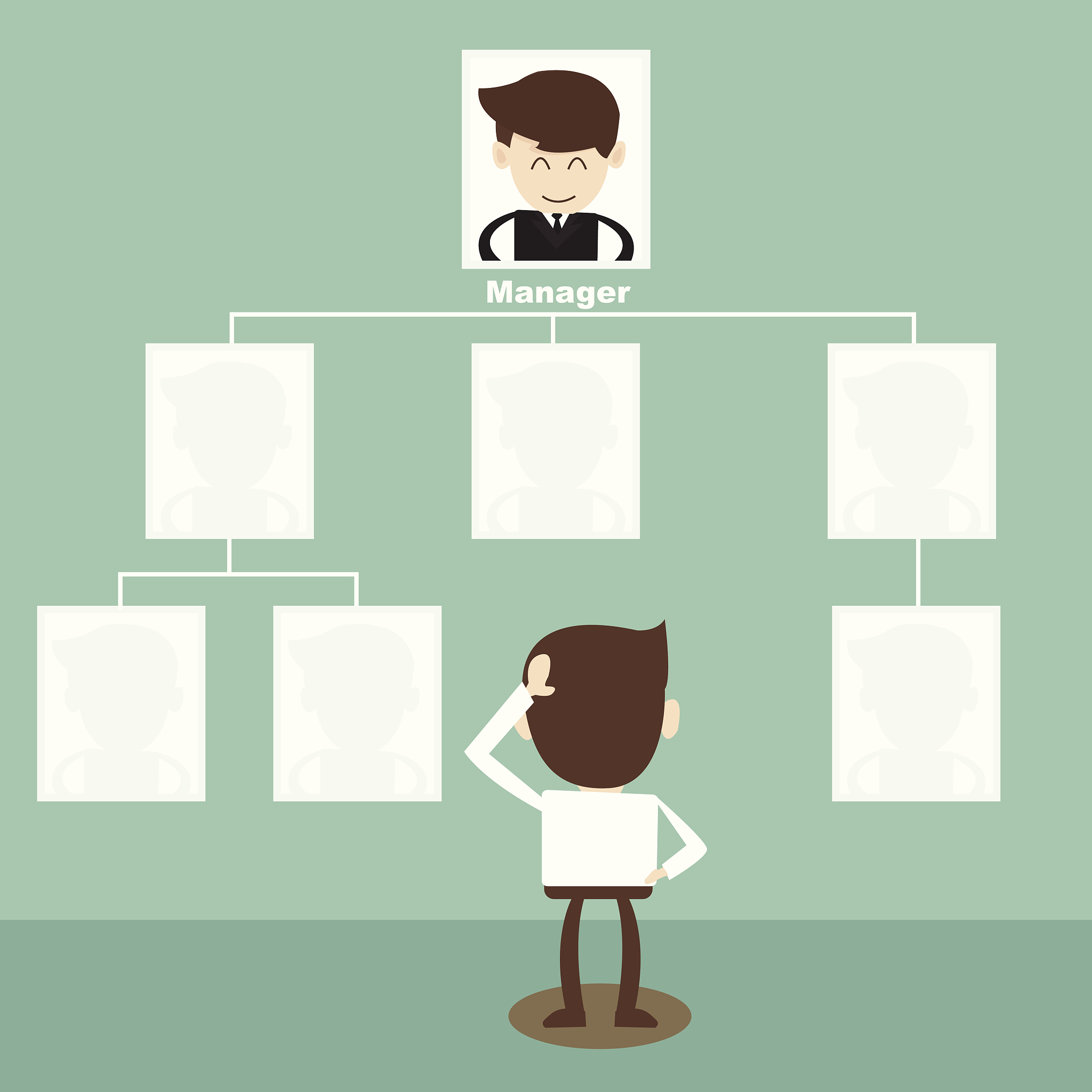 组织架构是什么