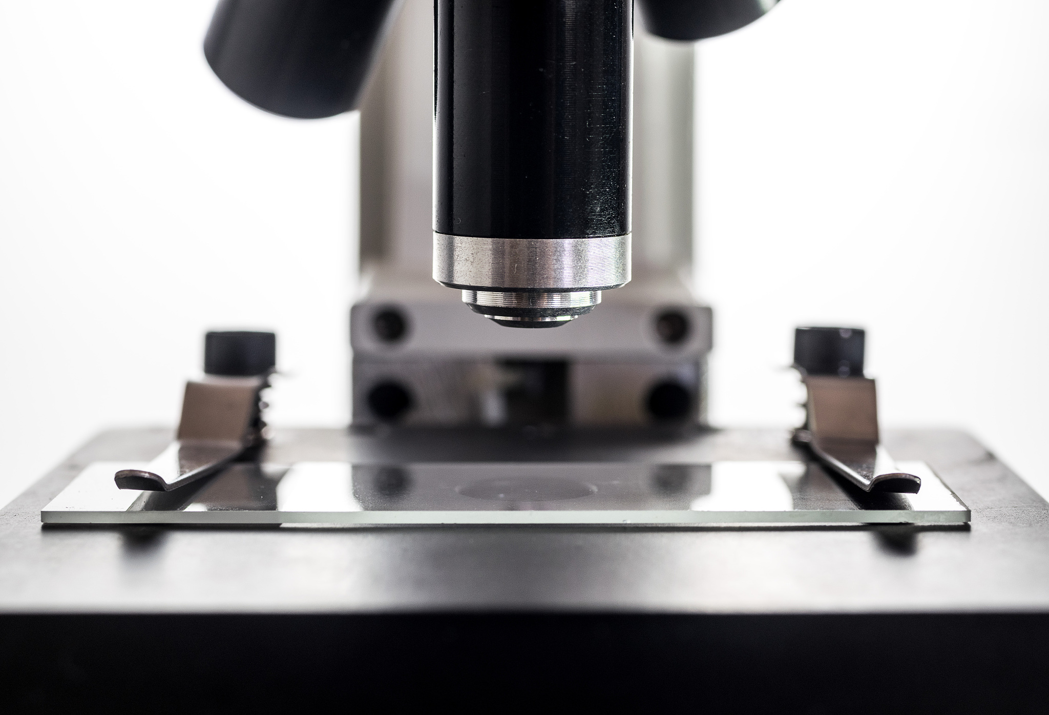 上海科学技术职业学院人力资源管理专业怎么样