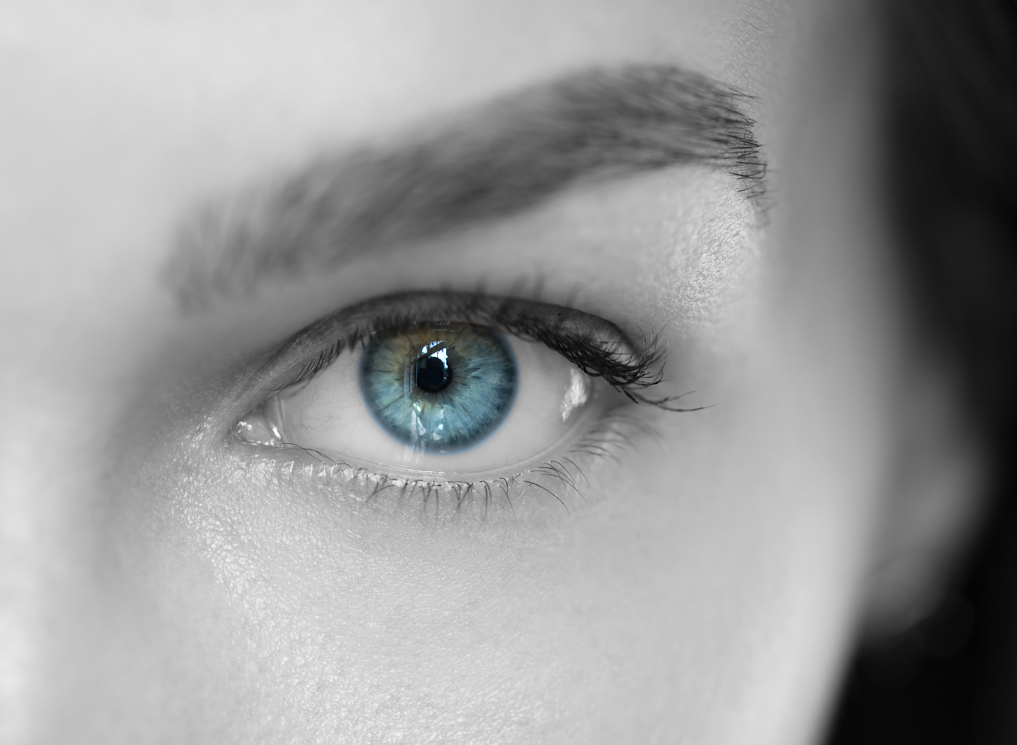 blue iris eye.