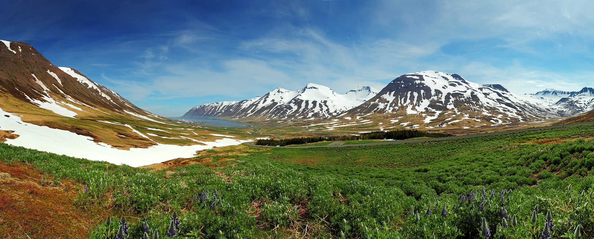 iceland mountain panorama with flowers