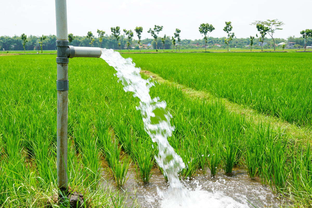 我国水利灌溉系统建设现状分析与展望