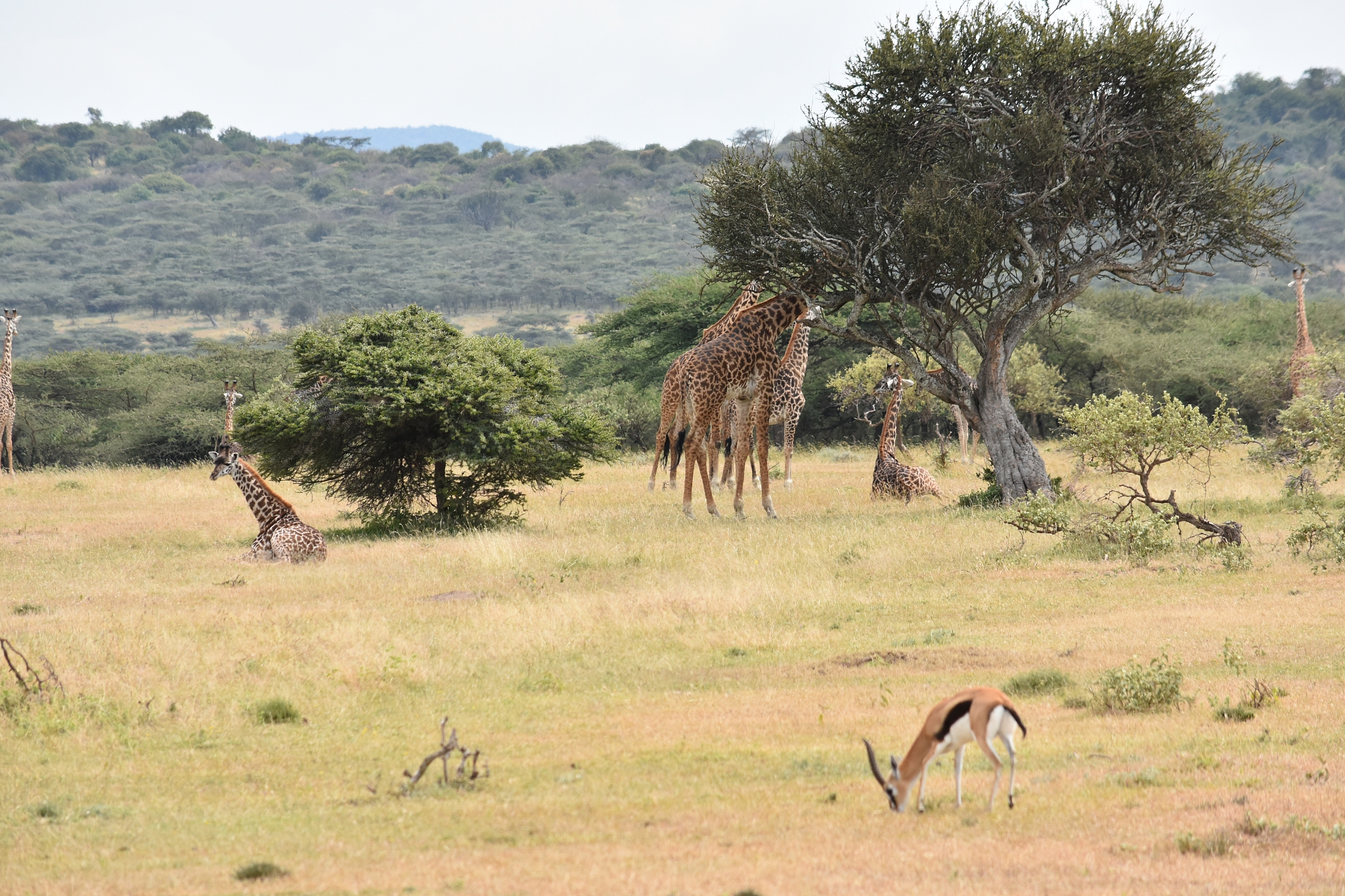 kilimatinde, tanzania