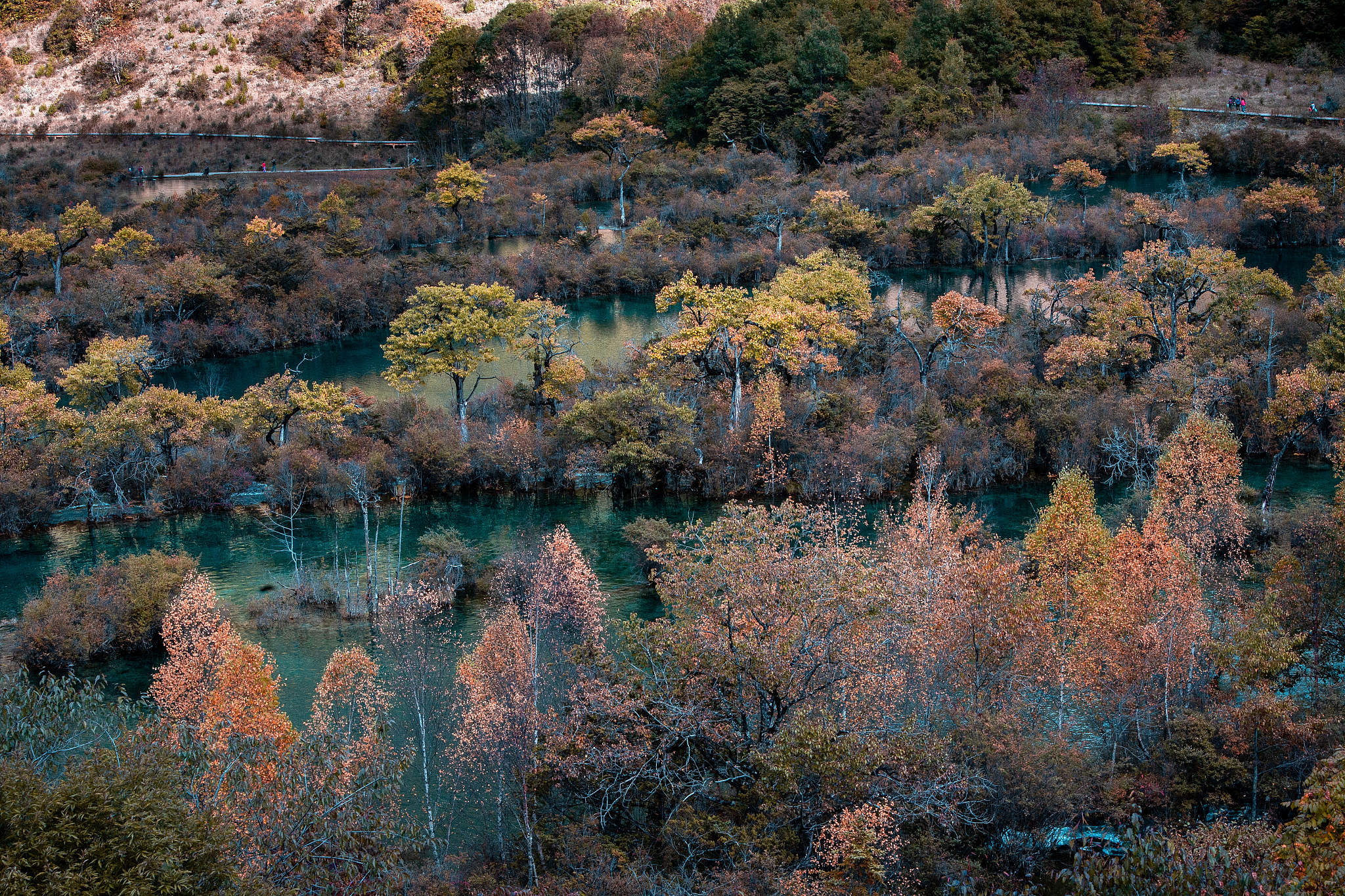 四川2021年中专学校就业前景排名: 最好就业的专业有哪些？