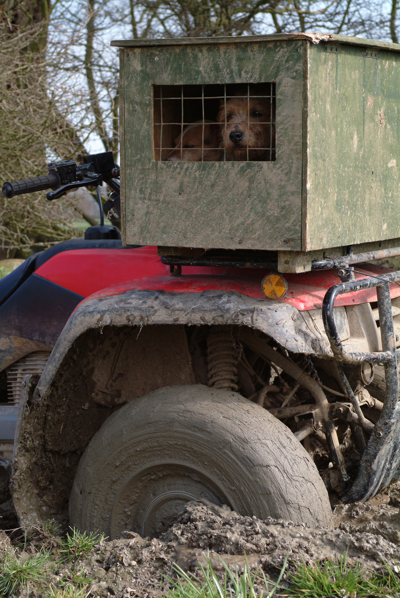 男子用狗改装三驱变四驱月日江苏南京男子用狗改装三驱变四驱十公里油耗一袋狗粮南京一男子用狗改装三驱变四驱校园热点运营官。围绕这篇博文写1条10字左右的评论