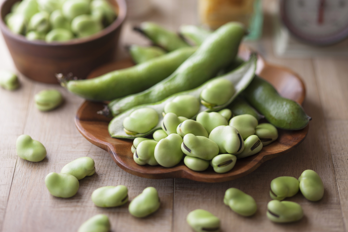 蚕豆不能和什么一起吃？| 蚕豆禁忌食物搭配