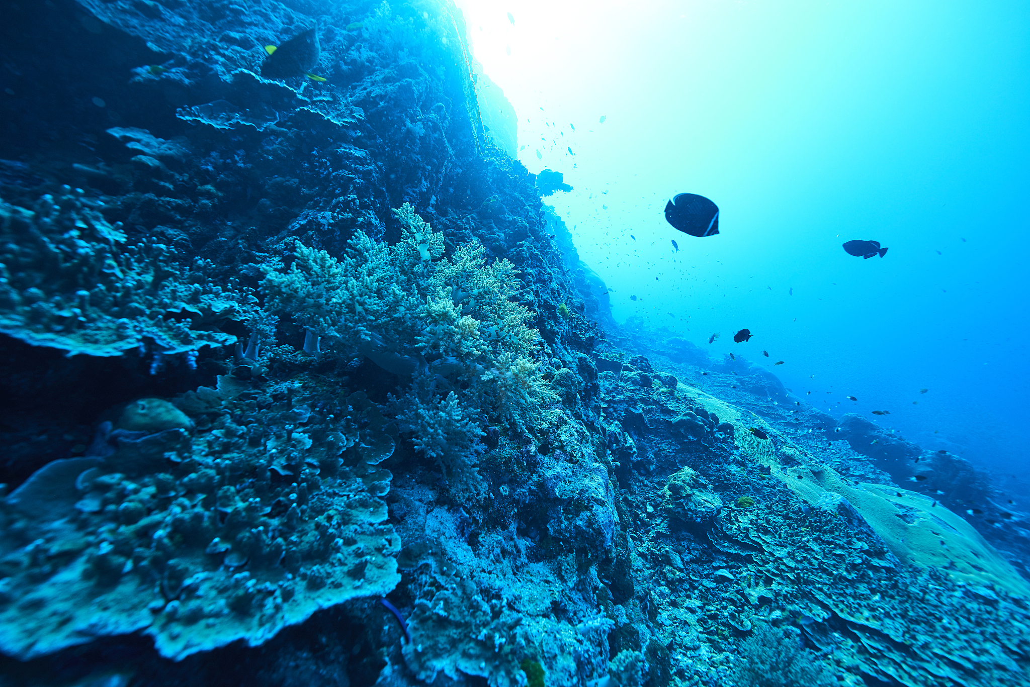 underwater