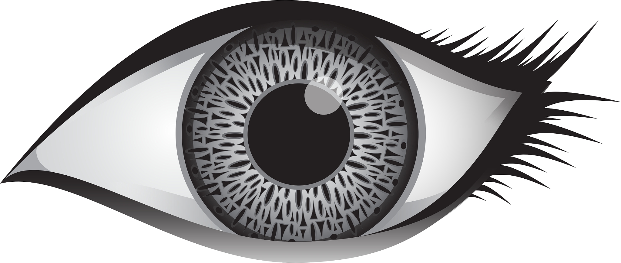 single female eye