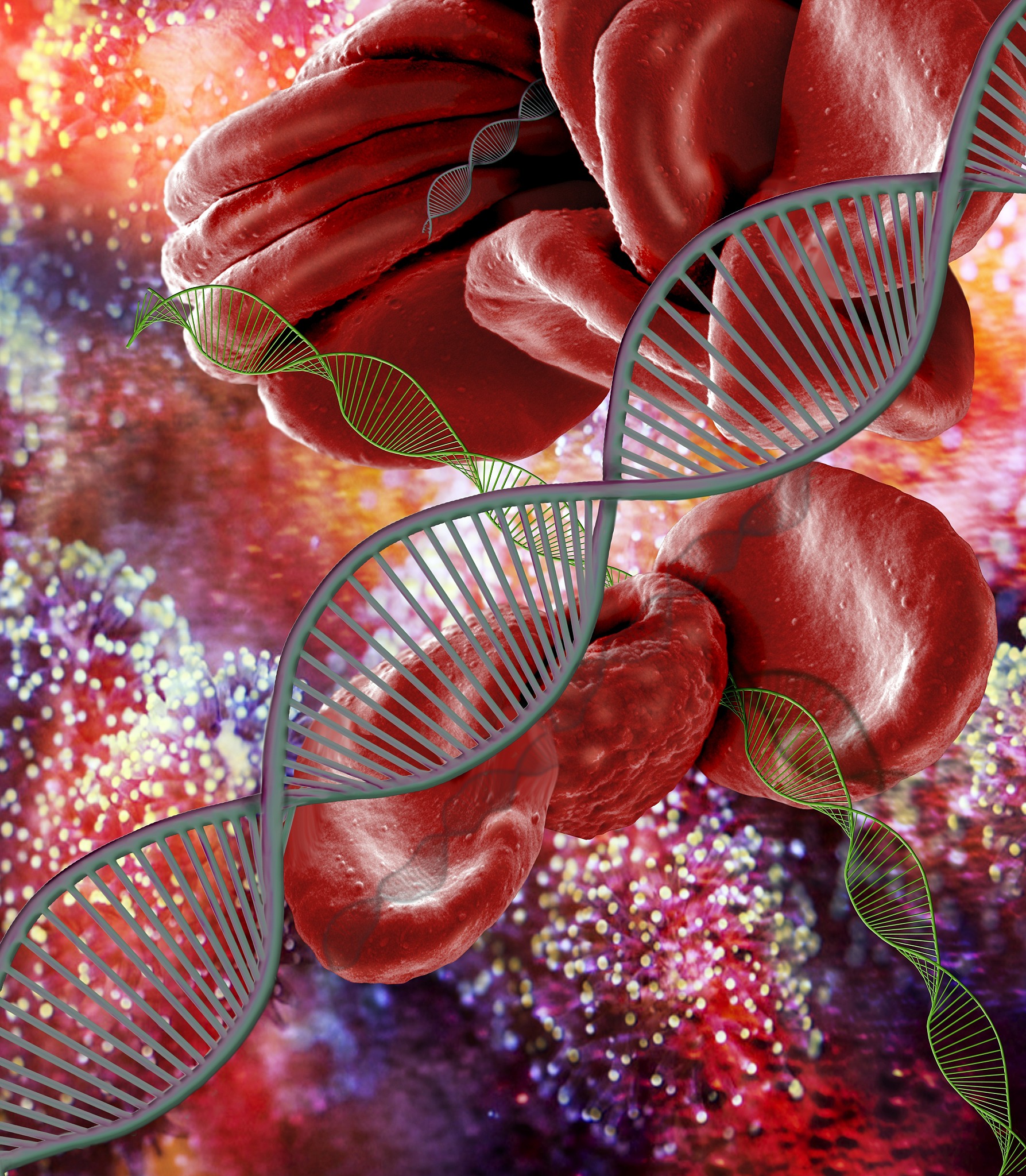 重庆卫校临床医学要学什么课程