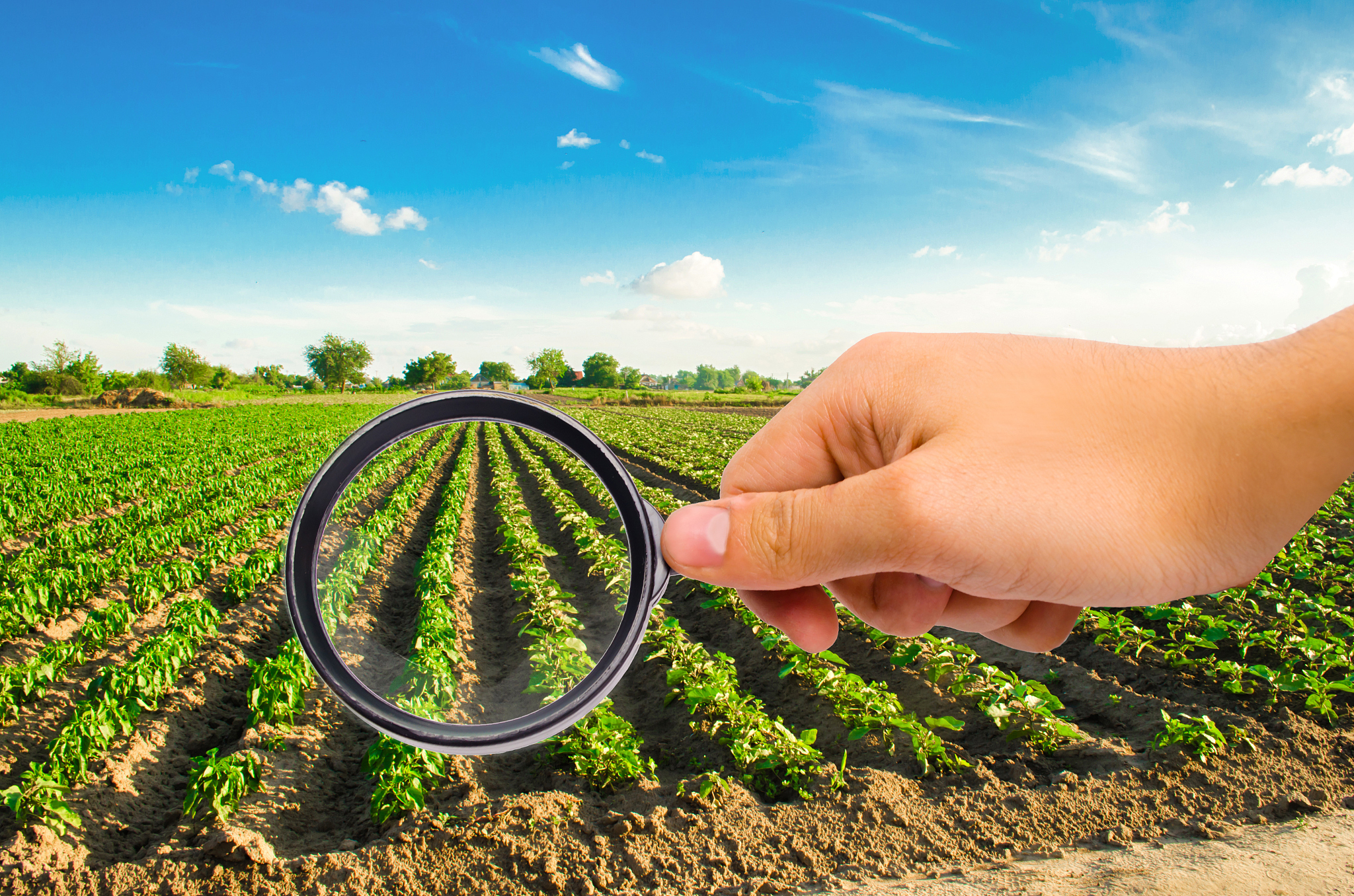 毕节农业学校2020年专业设置：农学、畜牧、食品、生物等，未来发展趋势如何？