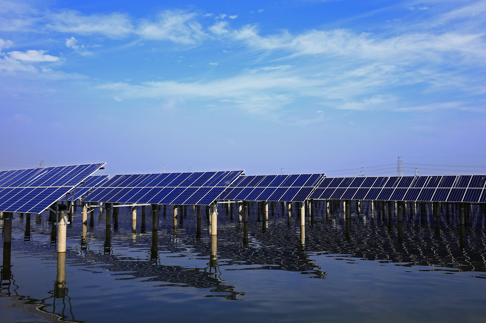 厦门海洋职业技术学院招生办联系电话