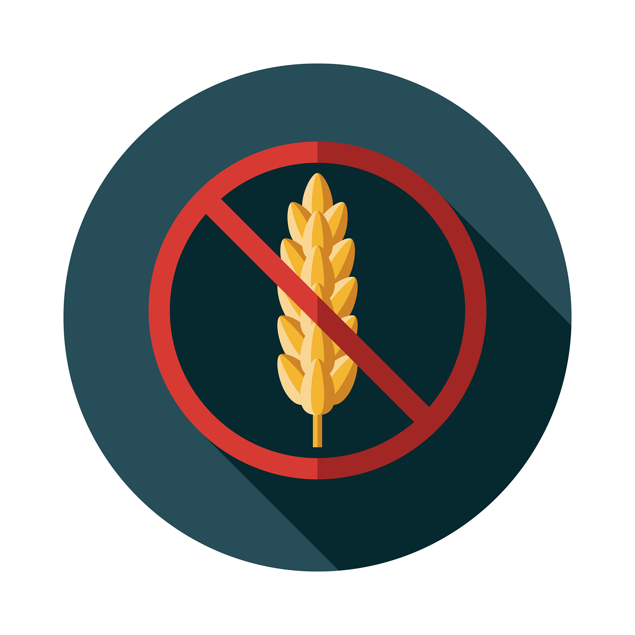 儿童常见过敏原食物替代方案：大米、小麦、牛奶、大豆、鸡蛋