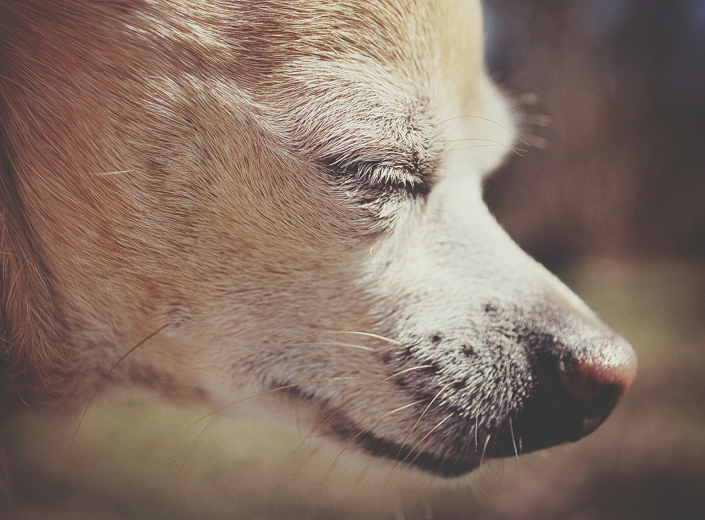 男人都是视觉动物是什么意思