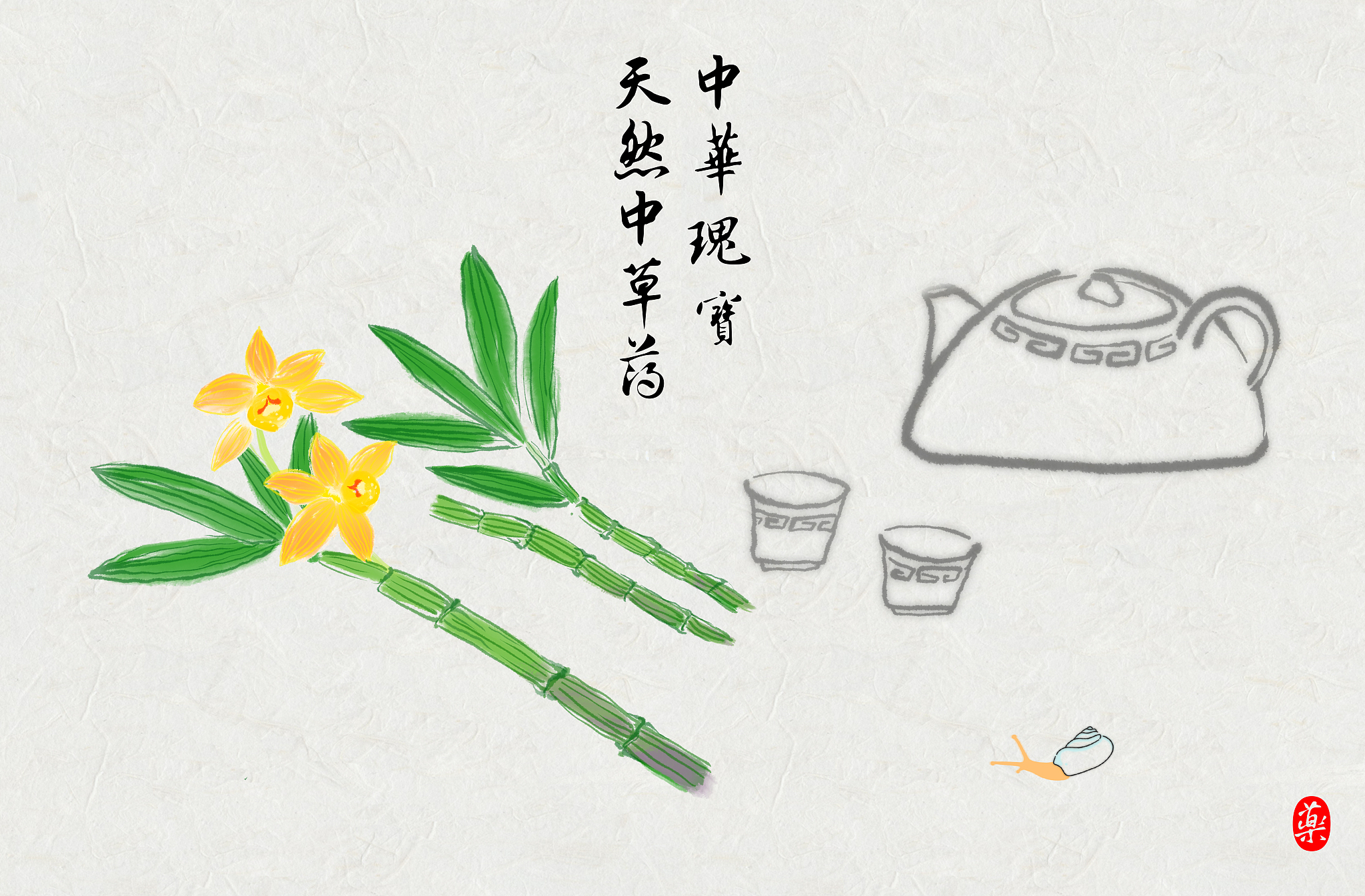 手绘水彩画中草药铁皮石斛养生茶