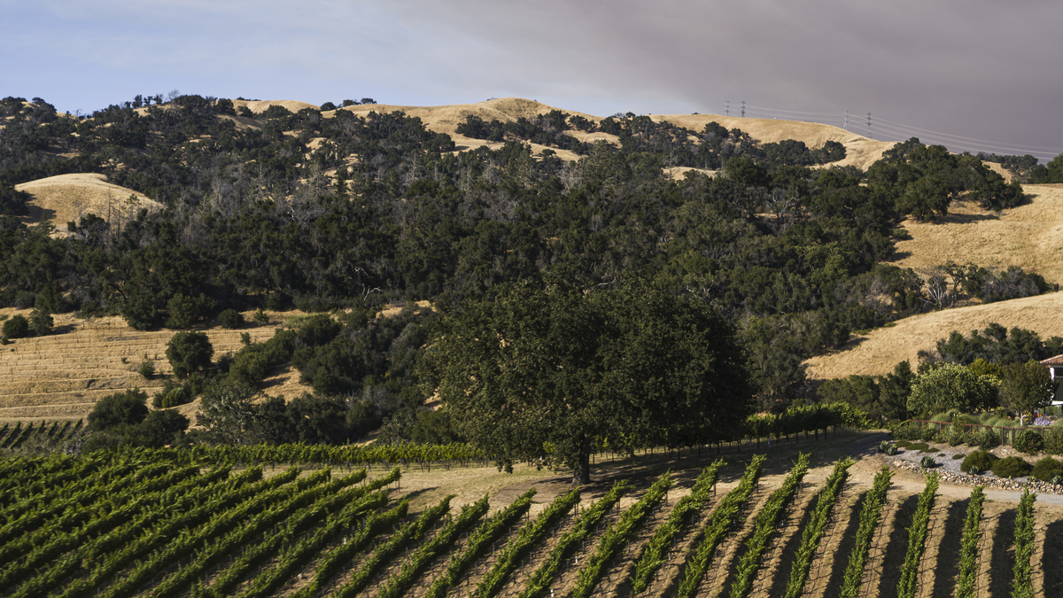 Cerrajero Montecarmelo 24 horas: Servicios de cerrajería urgentes