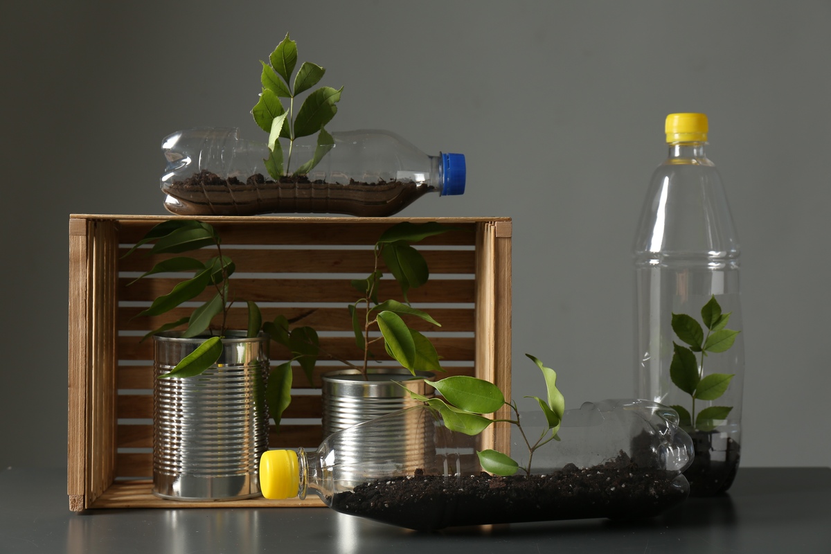 水培植物过氧化氢增氧