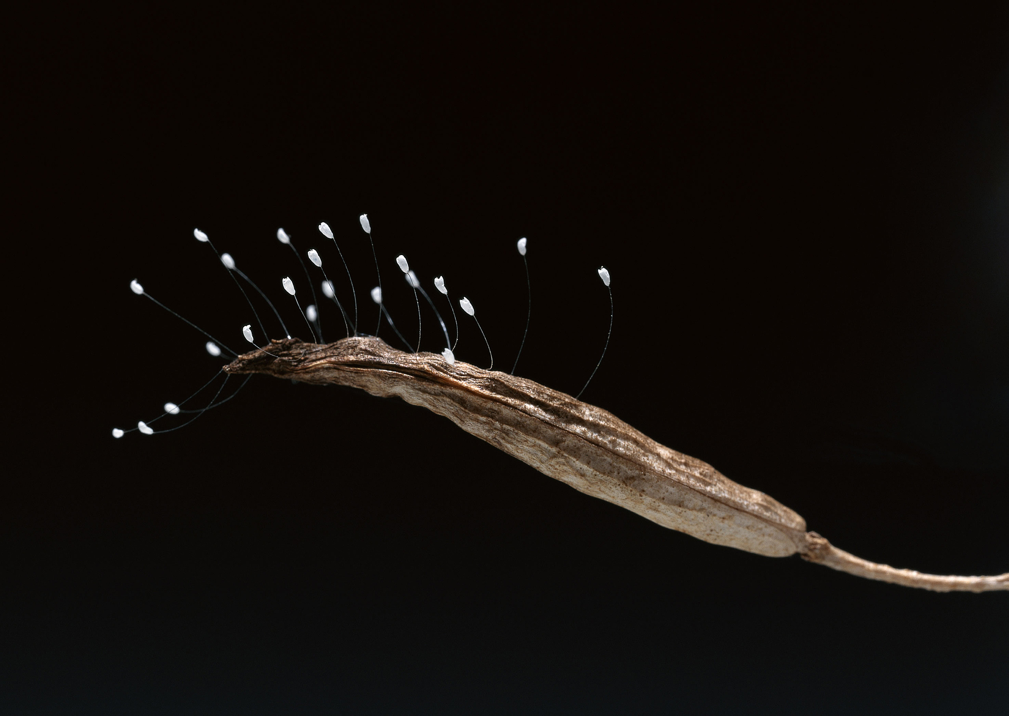 重组酶制剂的生产除了使用大肠杆菌宿主之外还可以使用哪些其他宿主？这些宿主各有什么优缺点和适用范围？