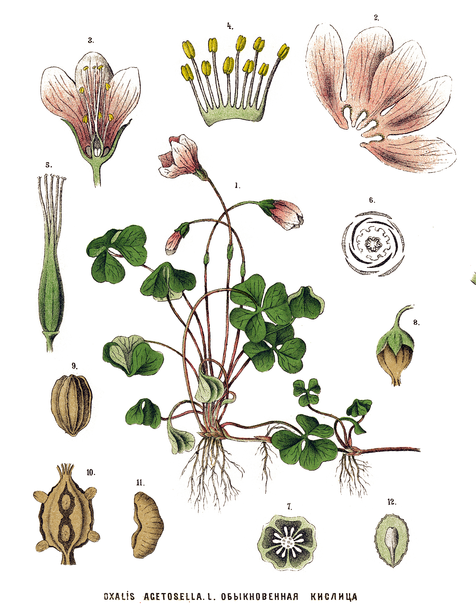 影响香气的因素有哪些